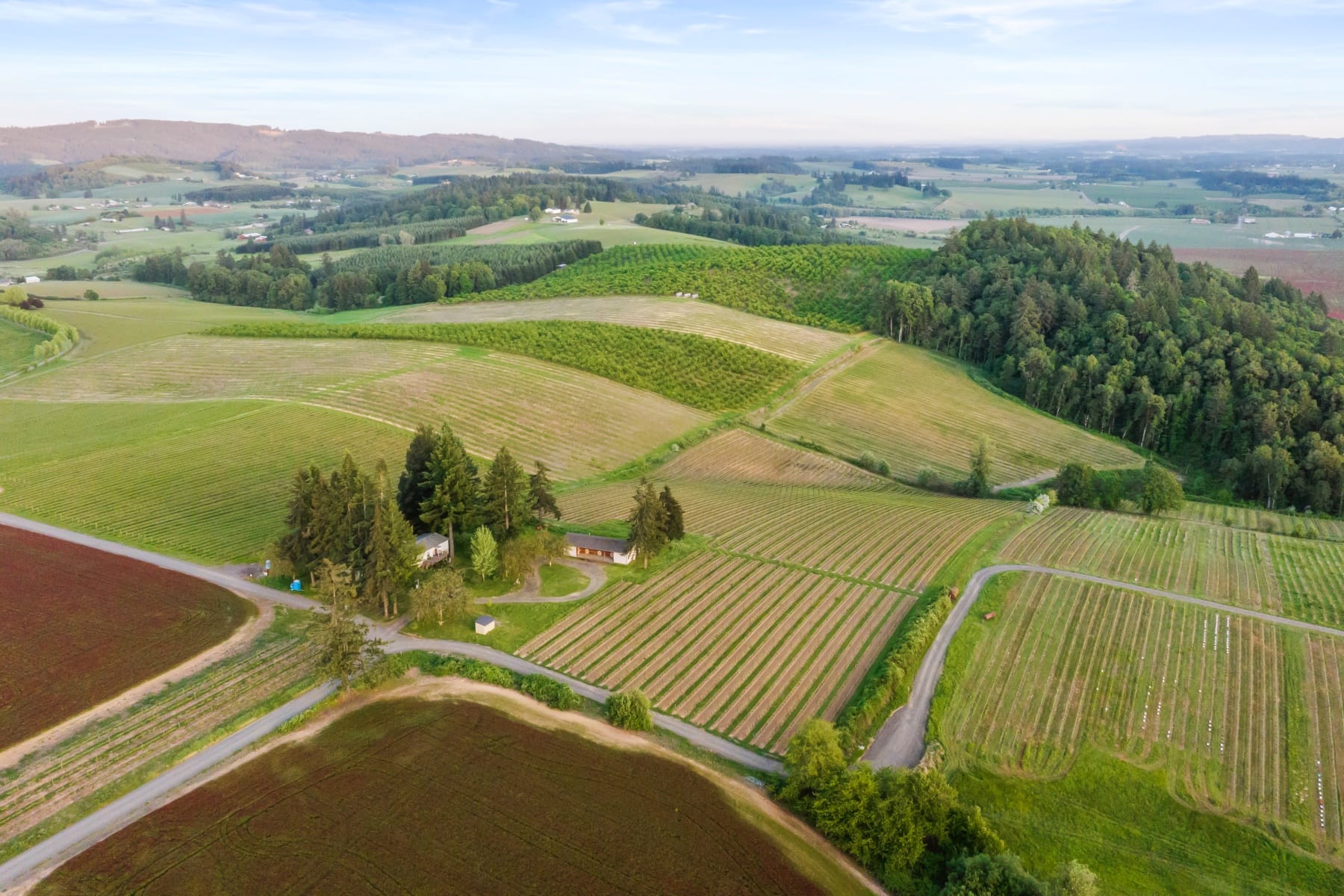  8810 NE BLACKBURN RD Yamhill, OR 97148 - 物件實景