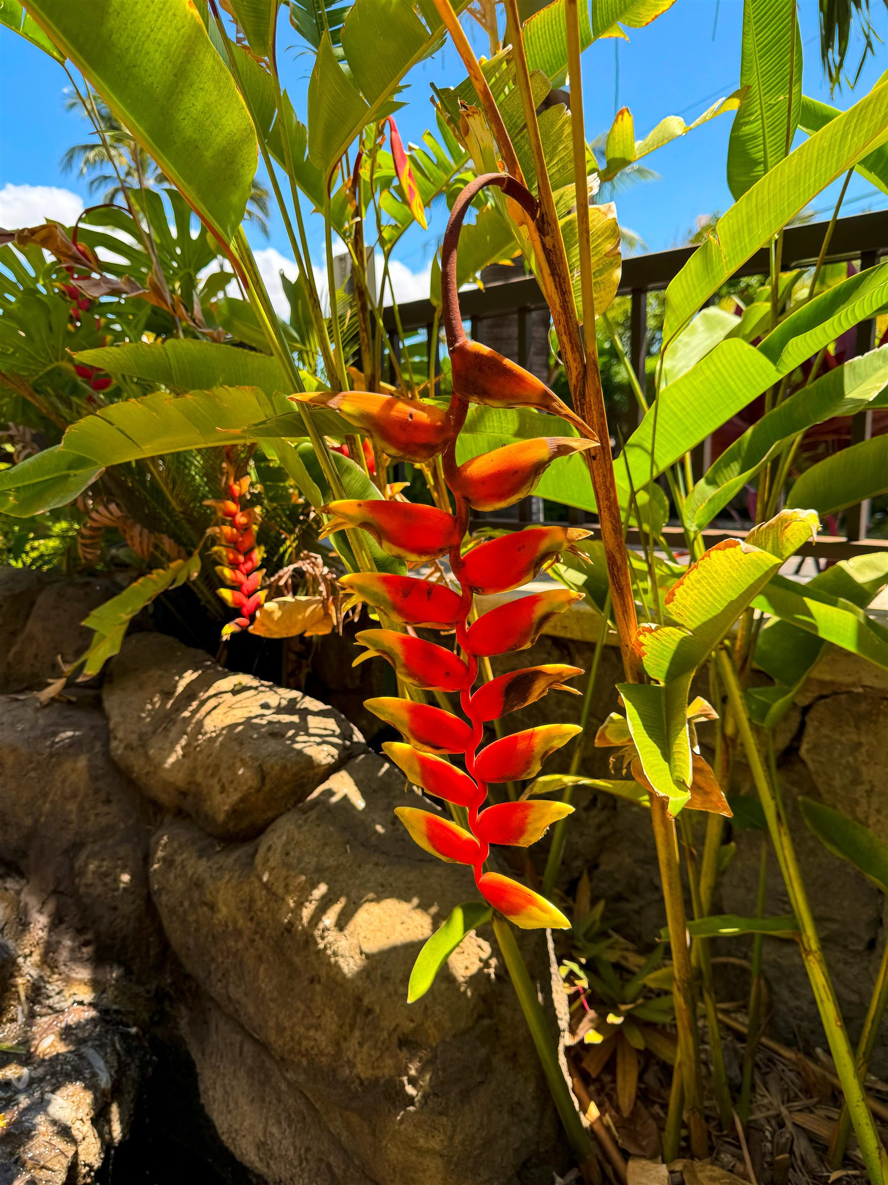 Kihei, Hawaii, 96753, United States, ,1 BathroomBathrooms,Residential,For Sale,1846527
