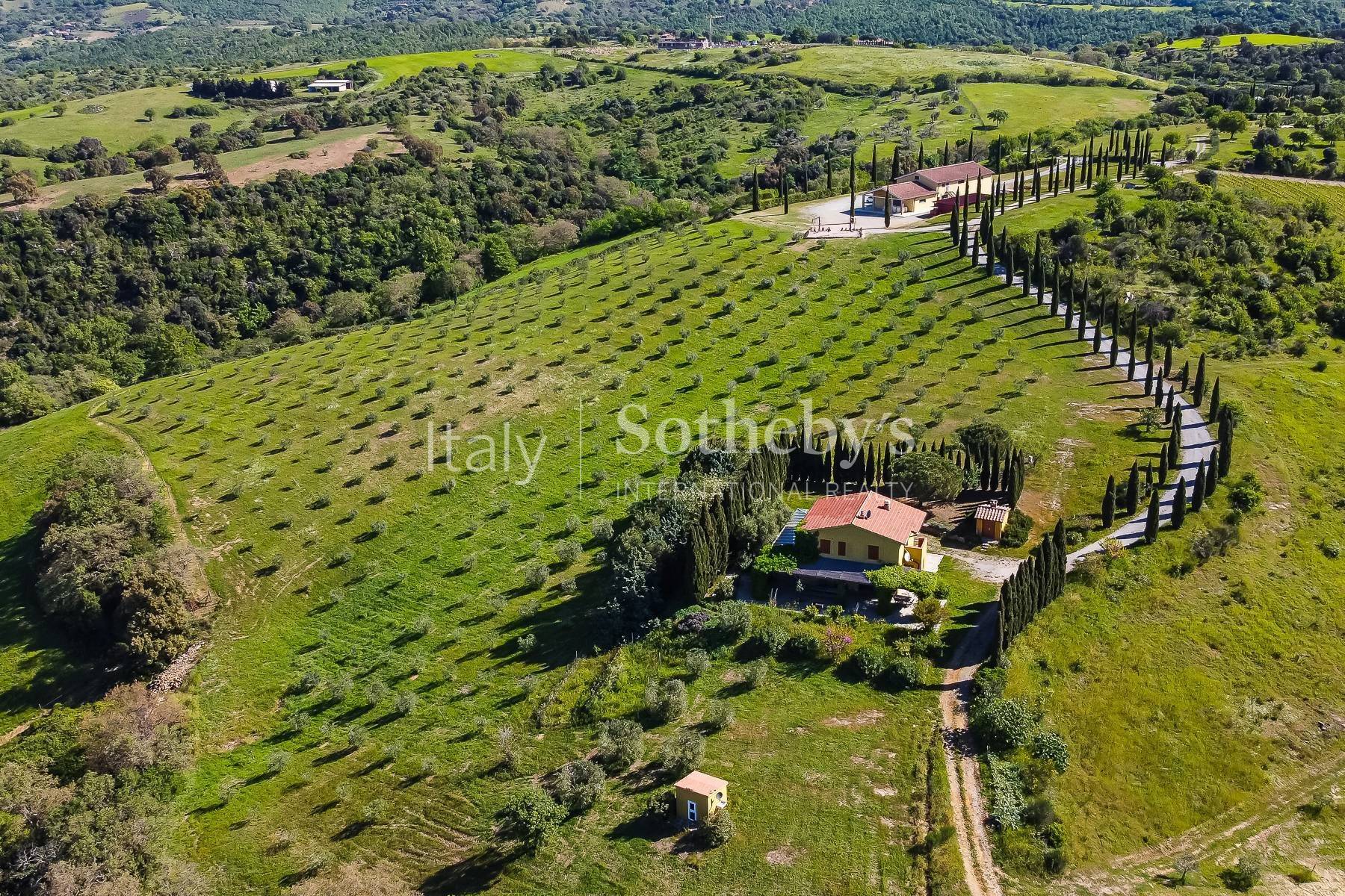  Exclusive wine estate in the Tuscan hills - 物件實景