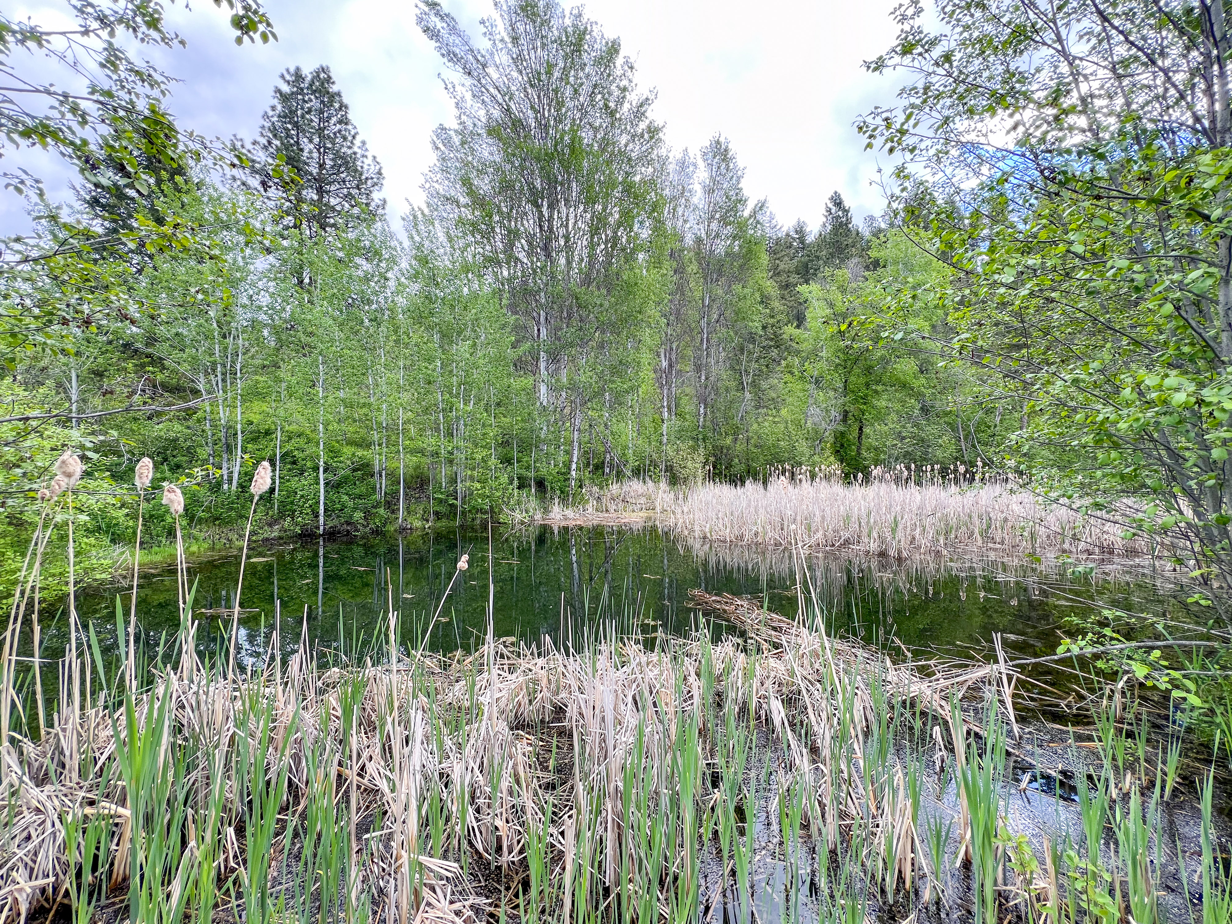 Kettle Falls, Washington, 99141, United States, 3 Bedrooms Bedrooms, ,2 BathroomsBathrooms,Residential,For Sale,1985709