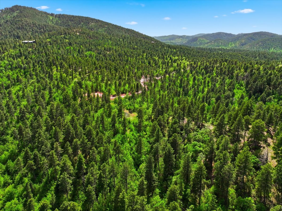 Spearfish, South Dakota, 57783, United States, ,Land,For Sale,2048171