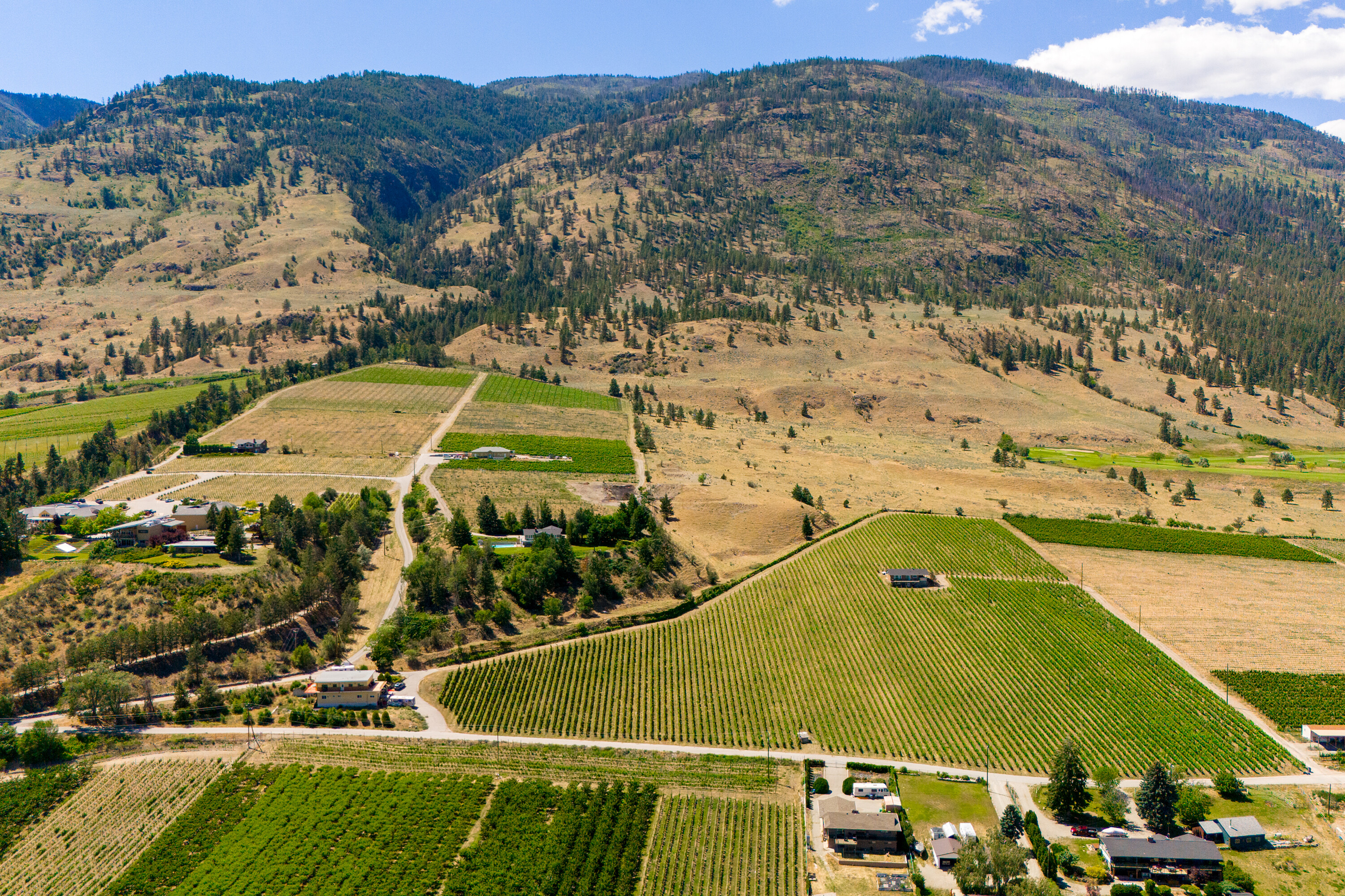  Vineyard Receivership - 物件實景