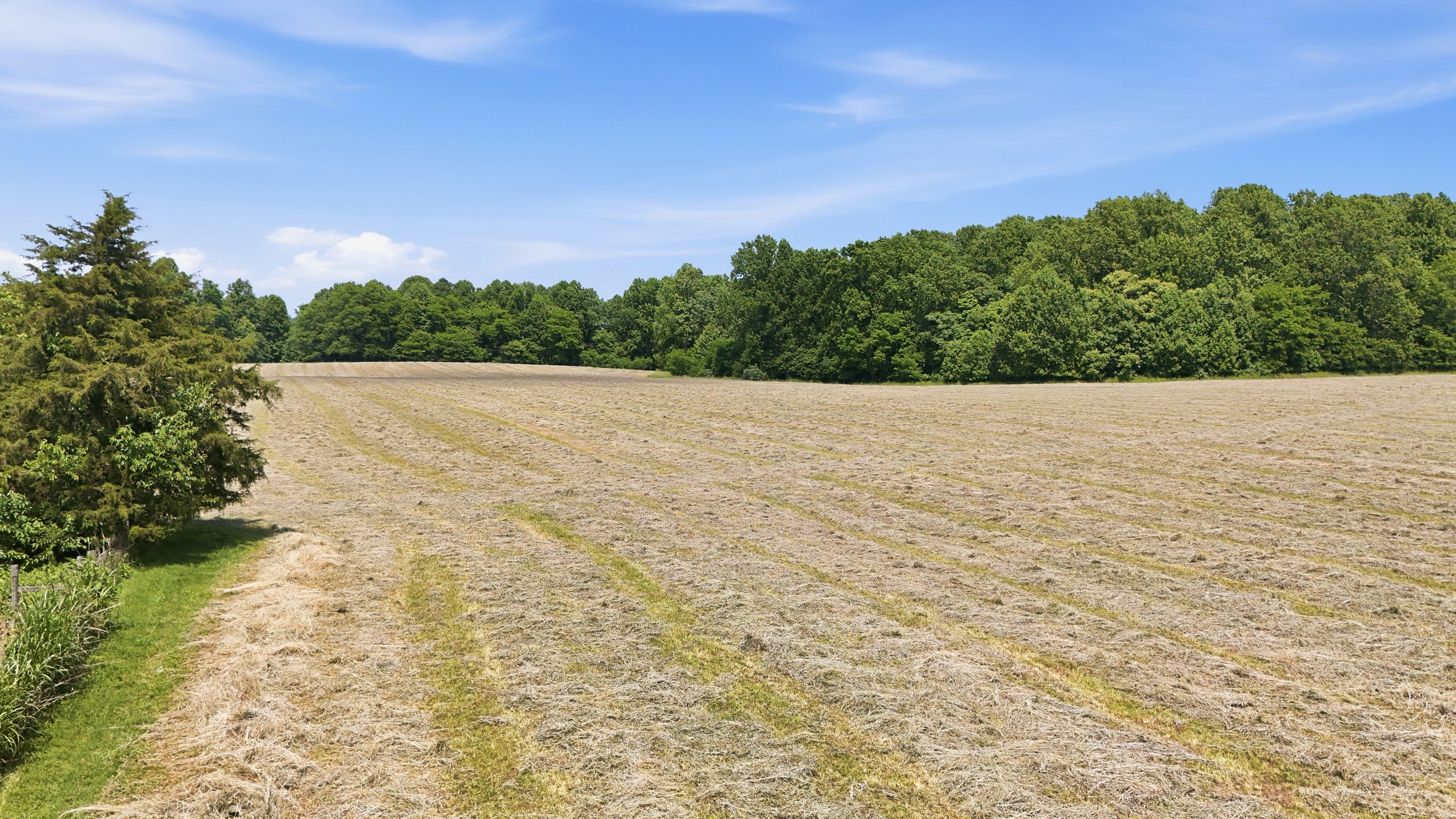  3850 Smith Lane, La Grange, KY 40031 - 物件實景