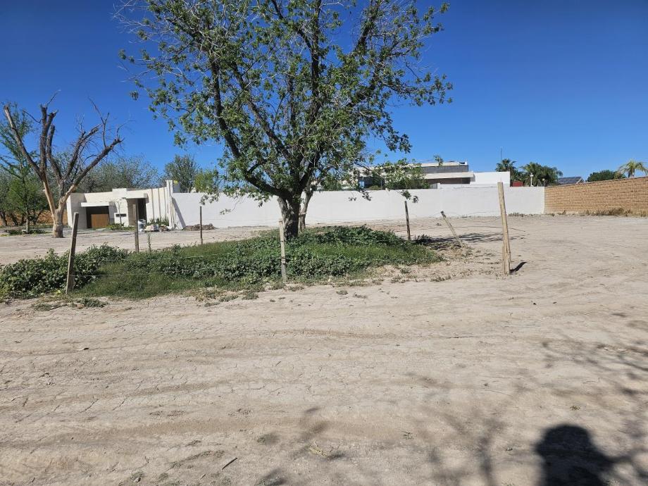 BUFALOS, Torreón, Coahuila de Zaragoza, 27105, Mexico, 1 Bedroom Bedrooms, ,Residential,For Sale,BUFALOS,1616965