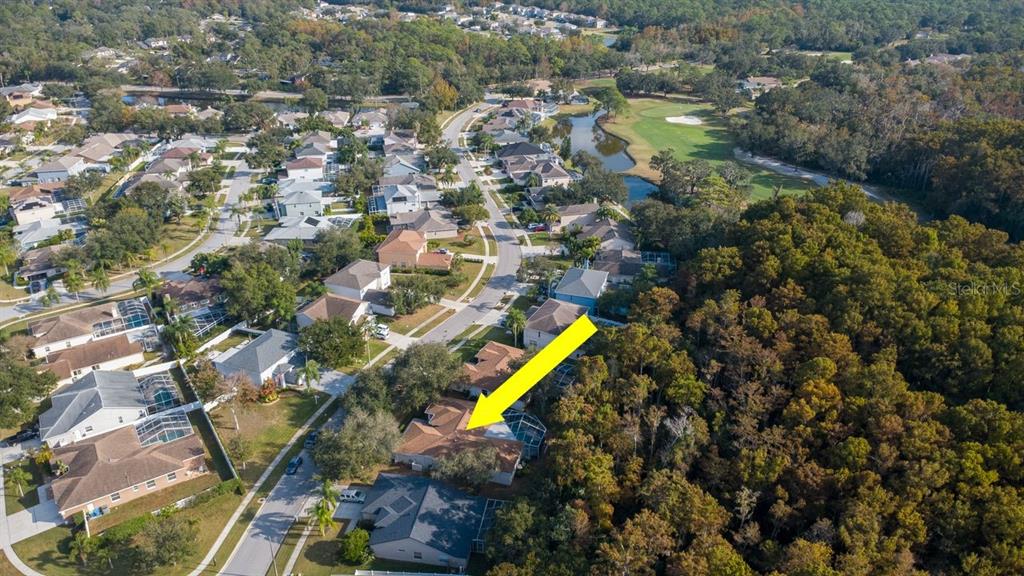 Oldsmar, Florida, 34677, United States, 4 Bedrooms Bedrooms, ,3 BathroomsBathrooms,Residential,For Sale,1998851