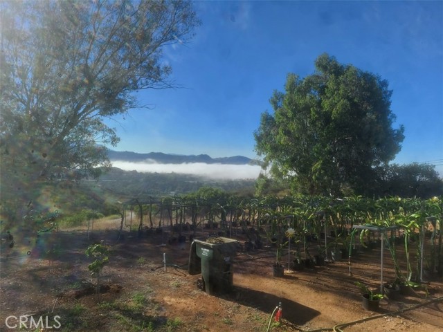 Fallbrook, California, 92028, United States, 2 Bedrooms Bedrooms, ,3 BathroomsBathrooms,Residential,For Sale,1979251