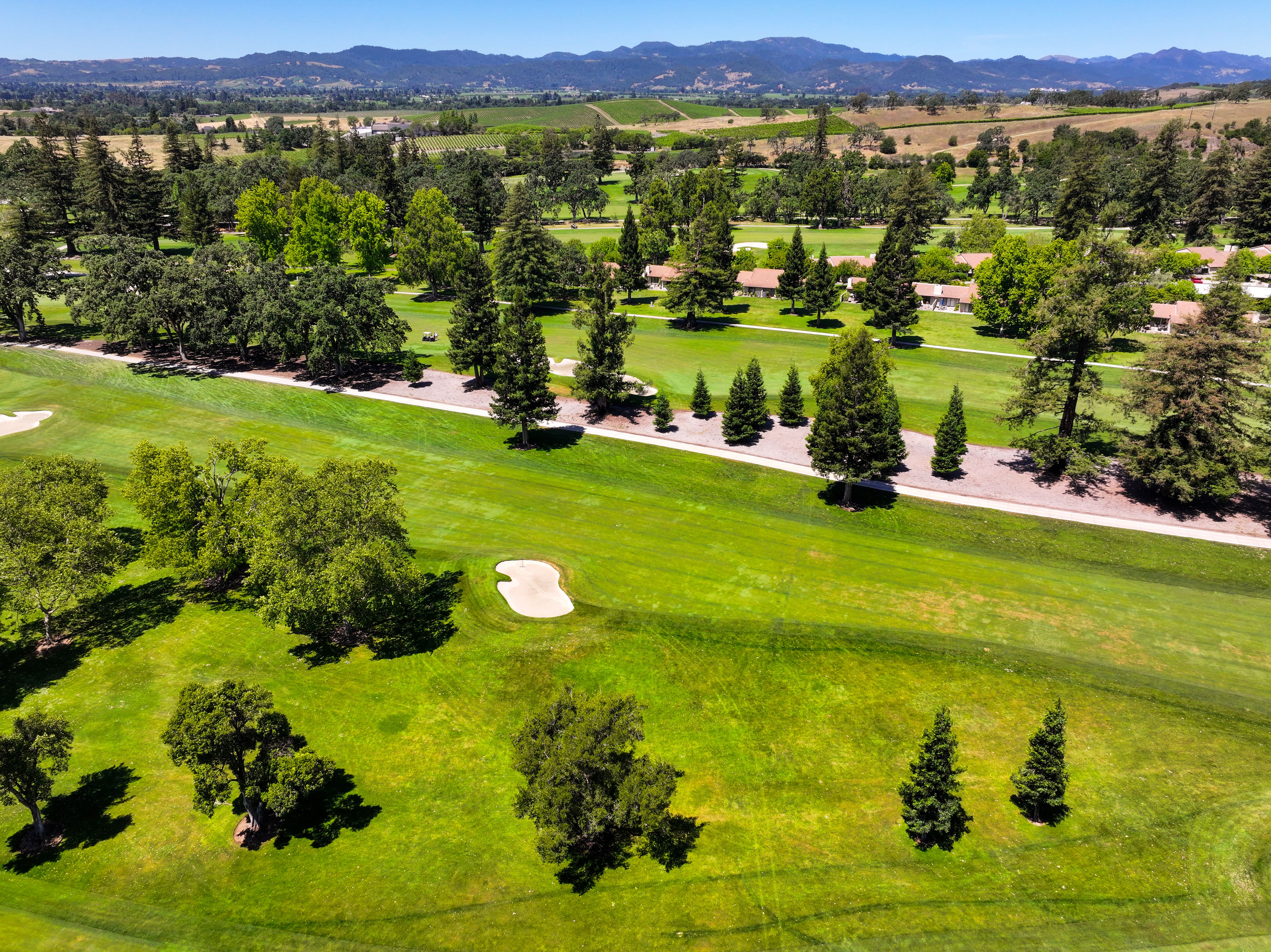  Single Level in Silverado Country Club Gated Community - 物件實景