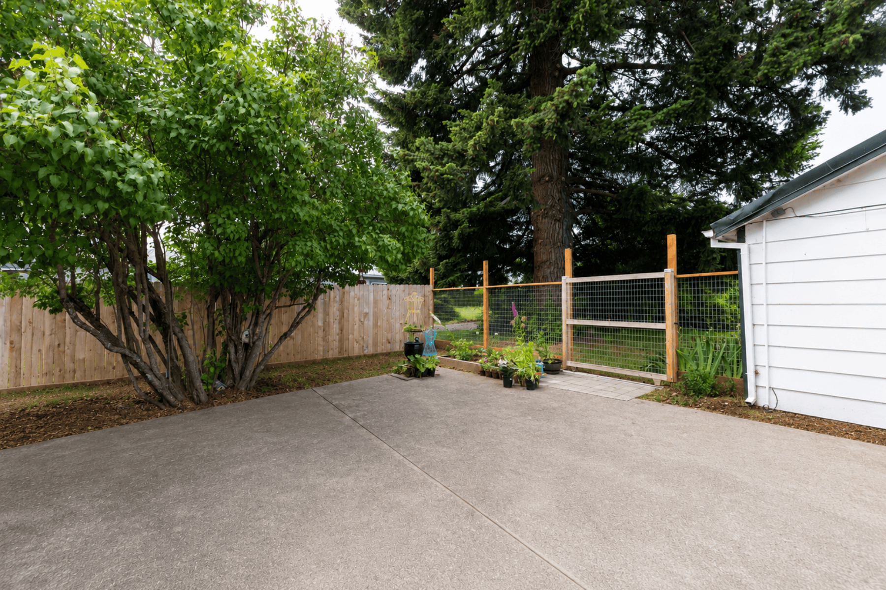  6455 TROUT CREEK RIDGE RD Mt Hood Prkdl, OR 97041 - 物件實景