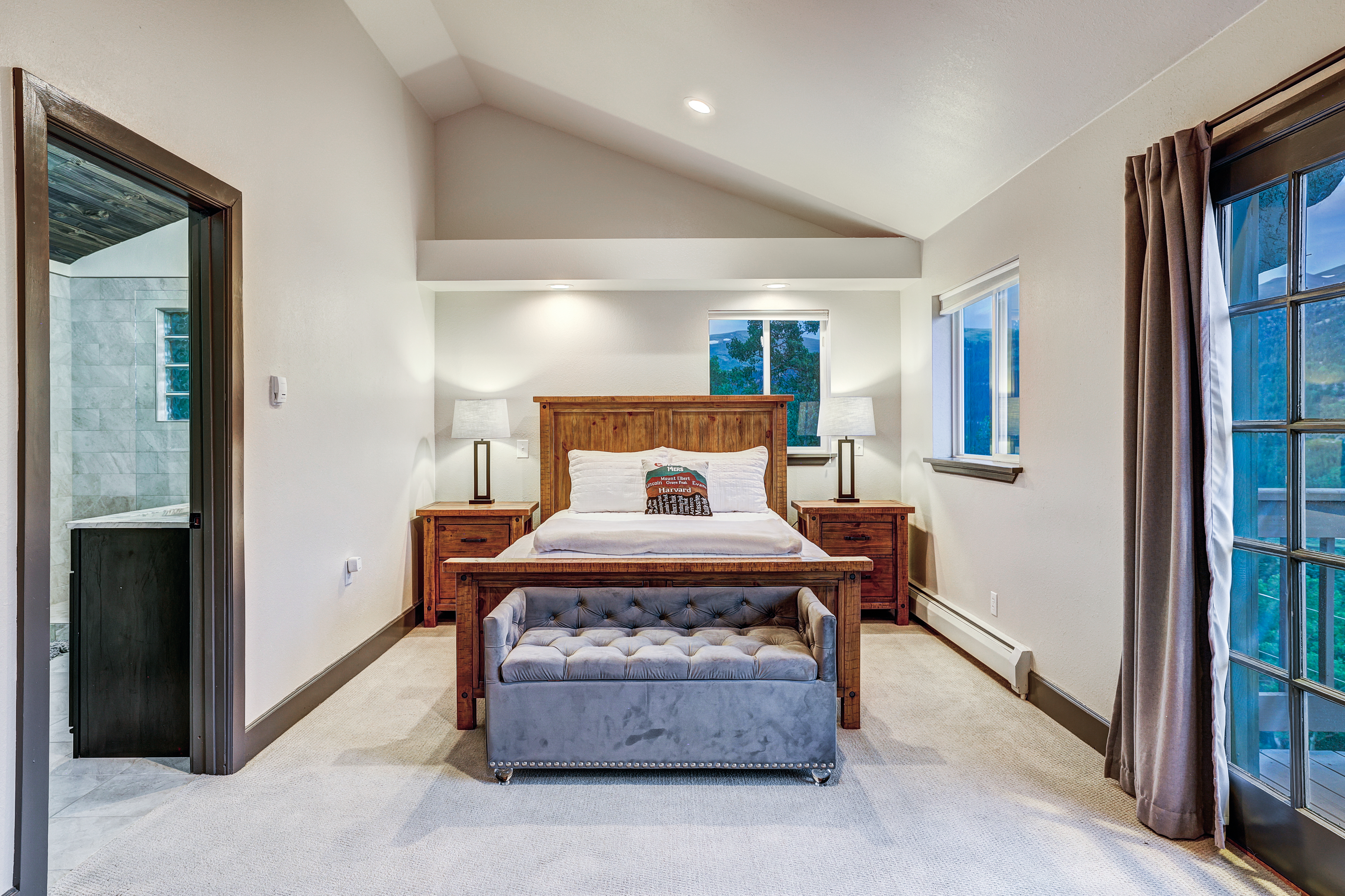  1095 Quartzville,Alma, CO, 80420 - 物件實景