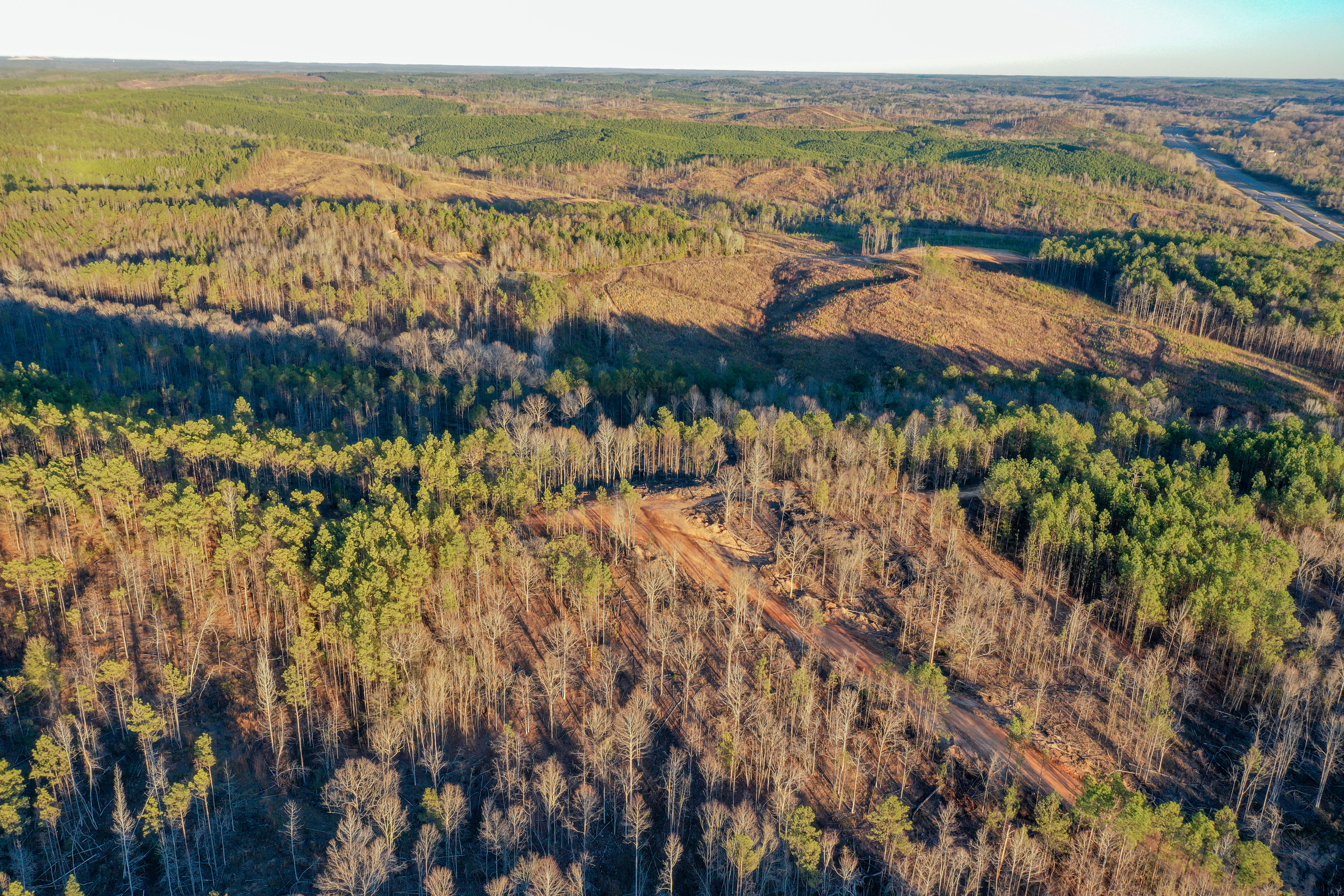 Centreville, Alabama, 35042, United States, ,Land,For Sale,2010430