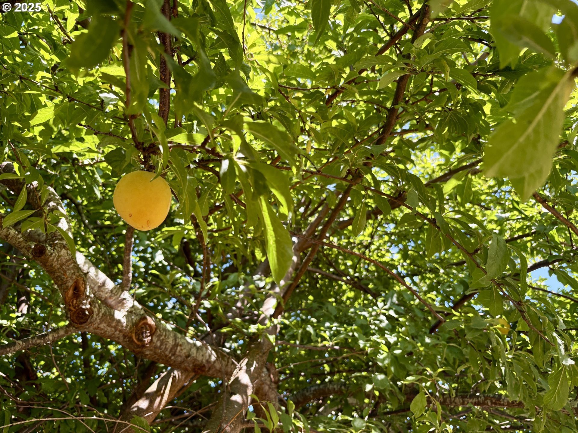 Gold Beach, Oregon, 97444, United States, 4 Bedrooms Bedrooms, ,3 BathroomsBathrooms,Residential,For Sale,1978600