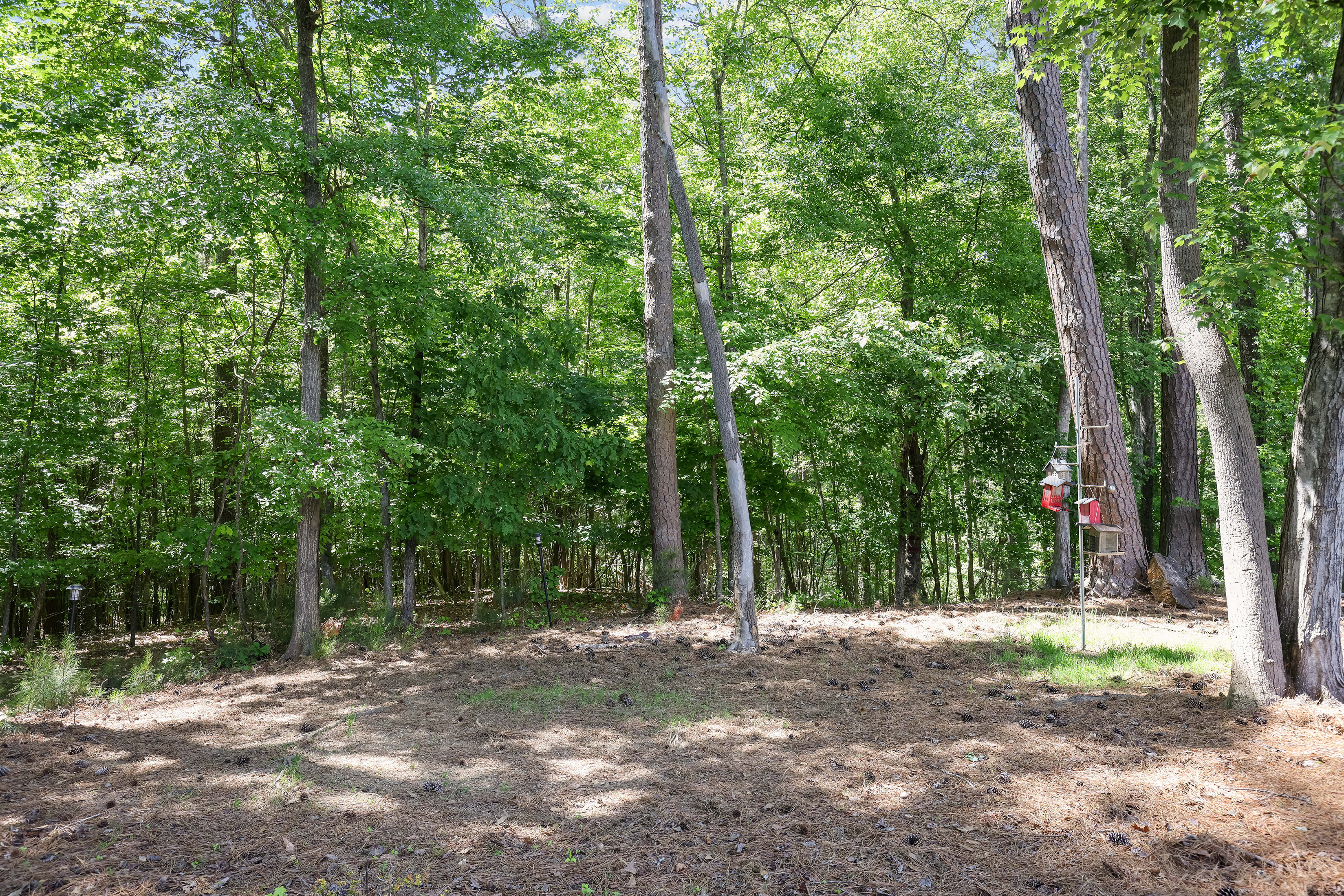  Premier West Cobb Estate Backing to Protected Acreage - 物件實景