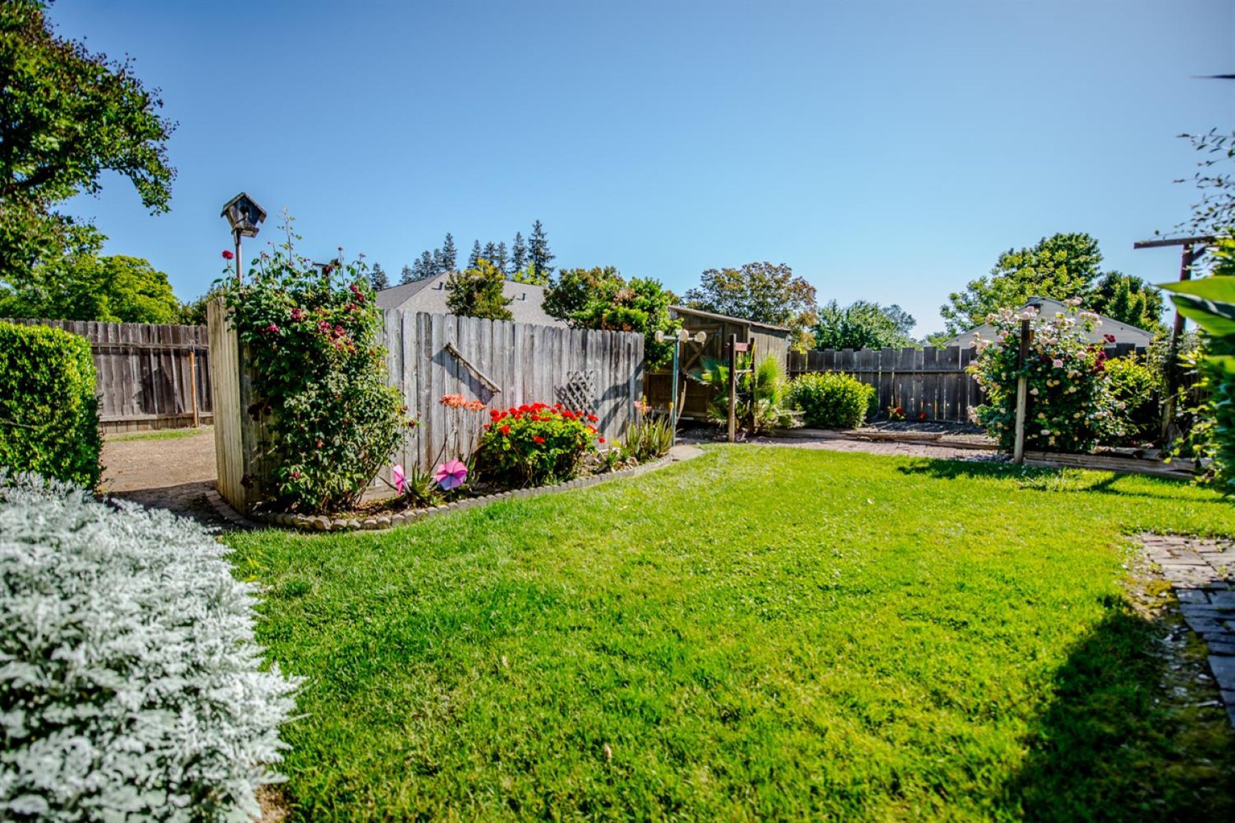  815 Woodland Avenue, Woodland, CA 95695 - 物件實景