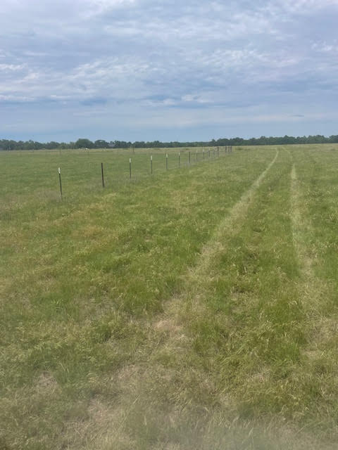 Holland, Texas, 76534, United States, ,Residential,For Sale,1994334