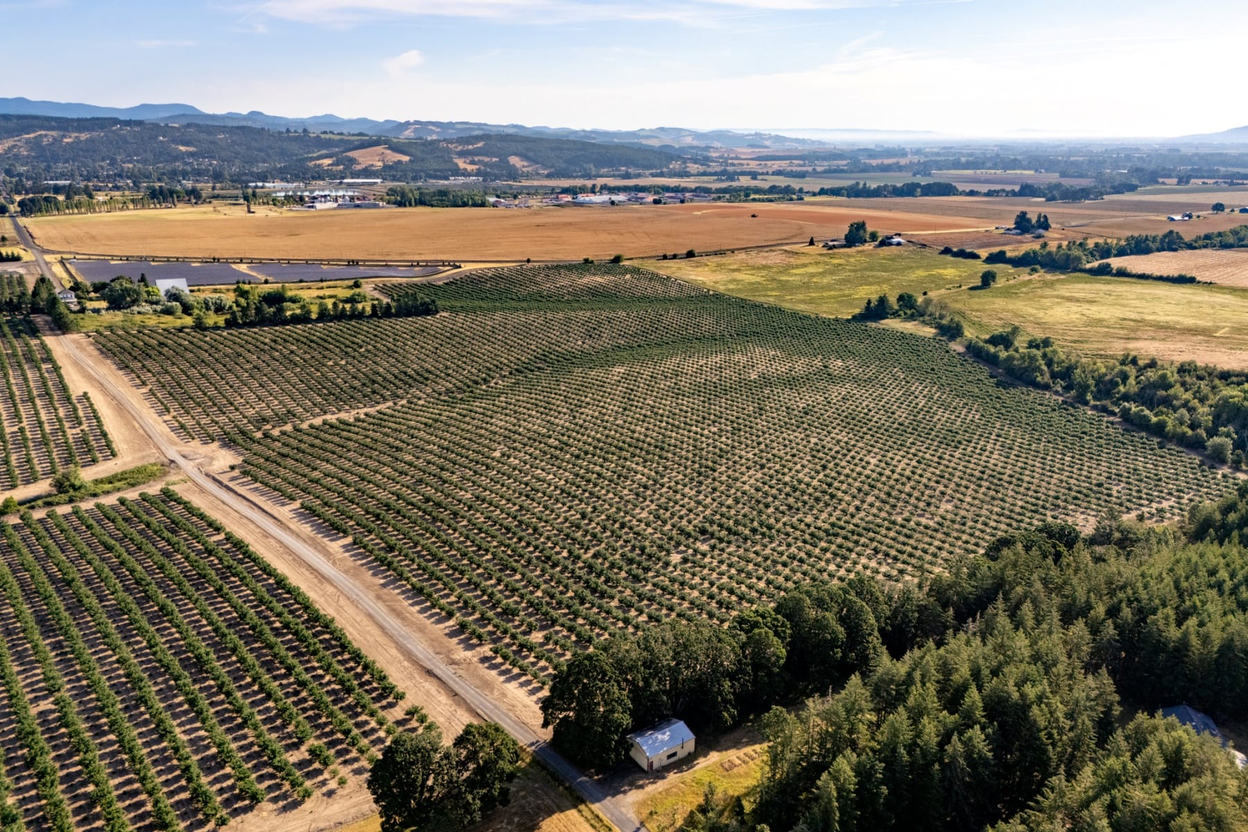  0 SW Frys LN Sheridan, OR 97378 - 物件實景