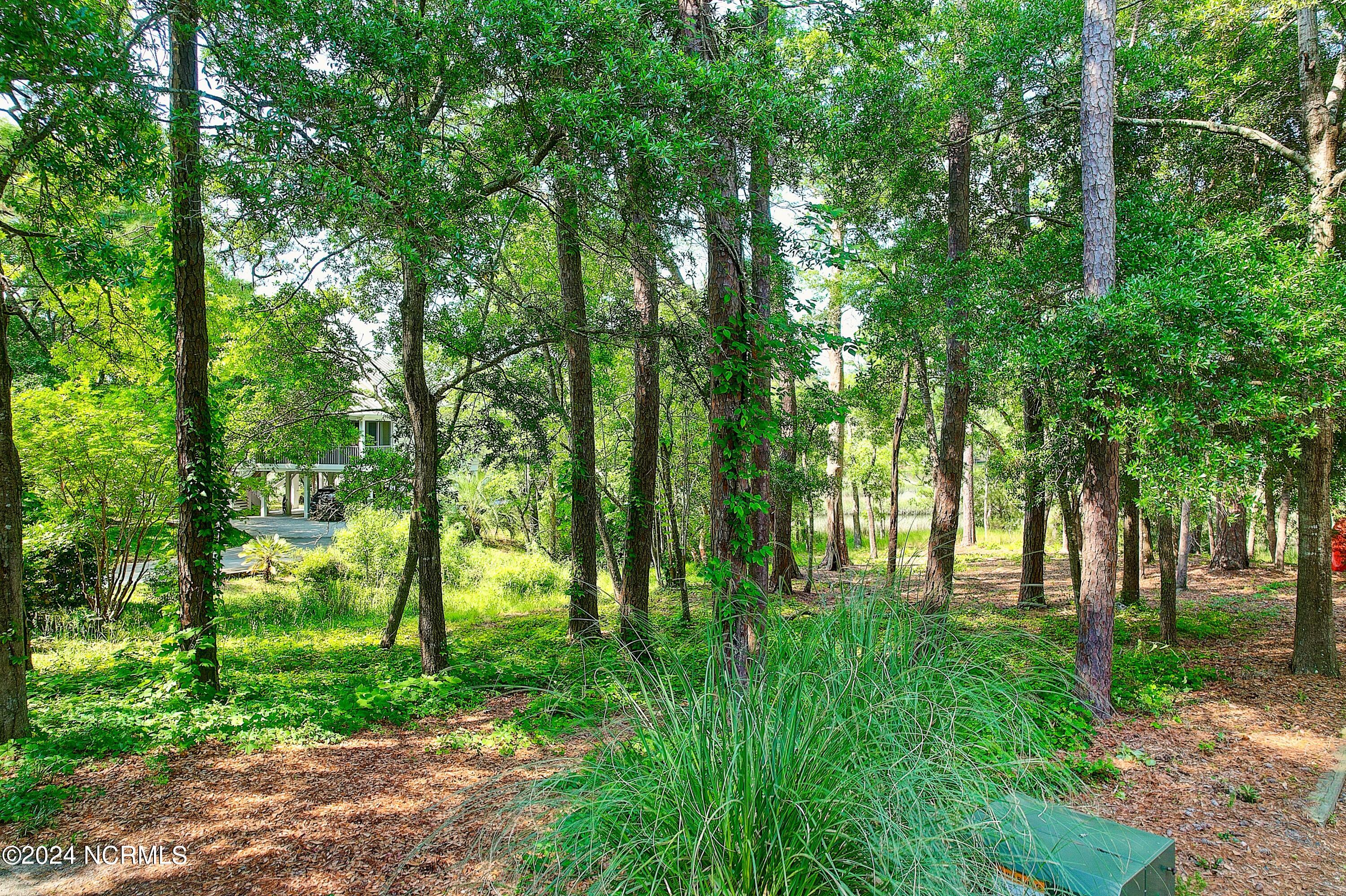 Shallotte, North Carolina, 28470, United States, 3 Bedrooms Bedrooms, ,3 BathroomsBathrooms,Residential,For Sale,1933104