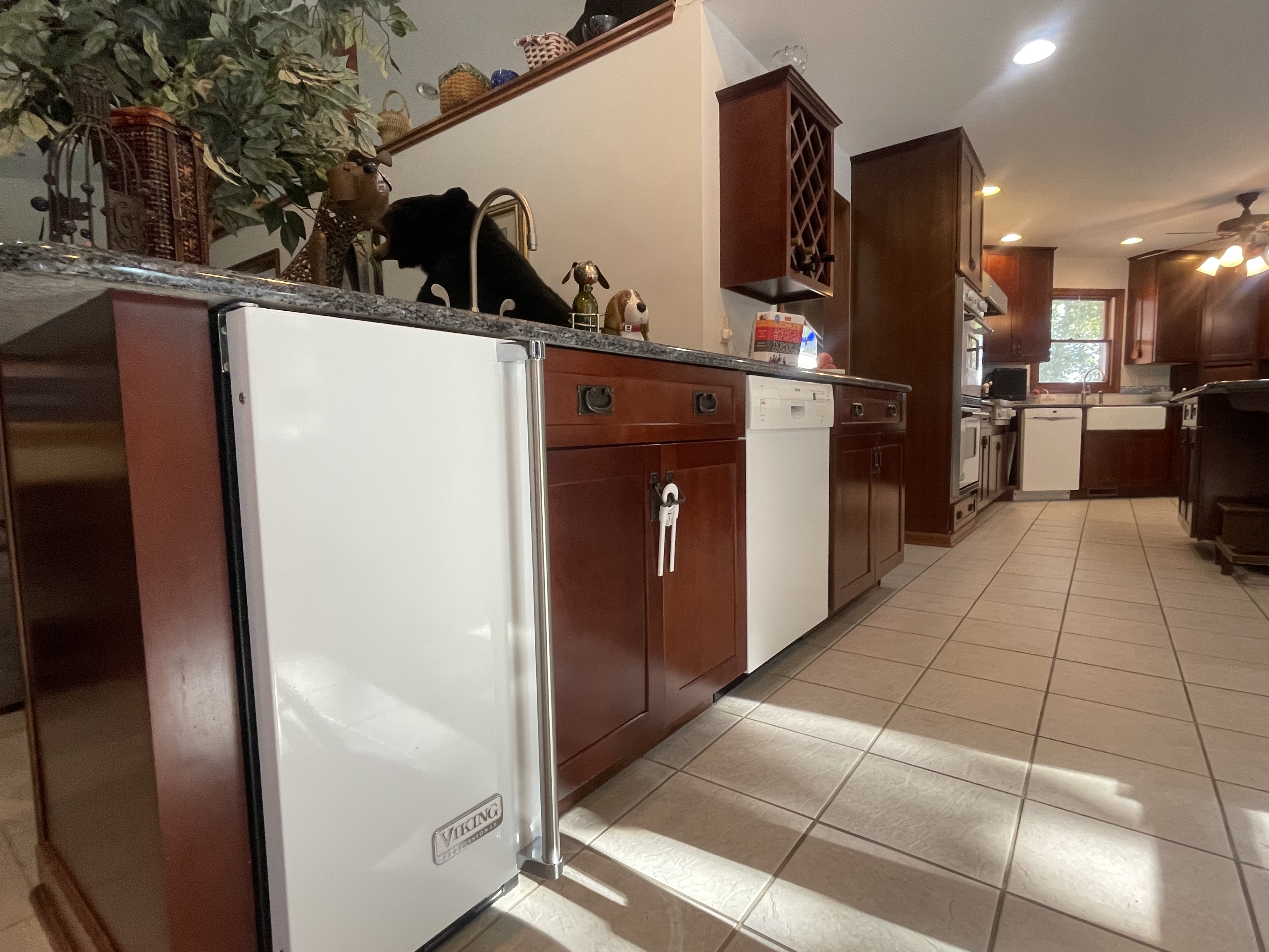 Murphysboro, Illinois, 62966, United States, 5 Bedrooms Bedrooms, ,6 BathroomsBathrooms,Residential,For Sale,1977081