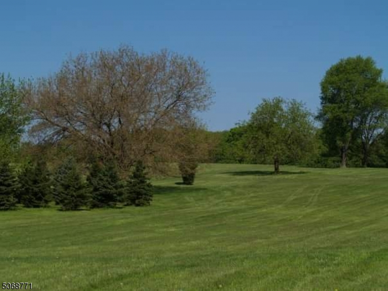 Mendham Twp., New Jersey, 07945, United States, ,Land,For Sale,1877223