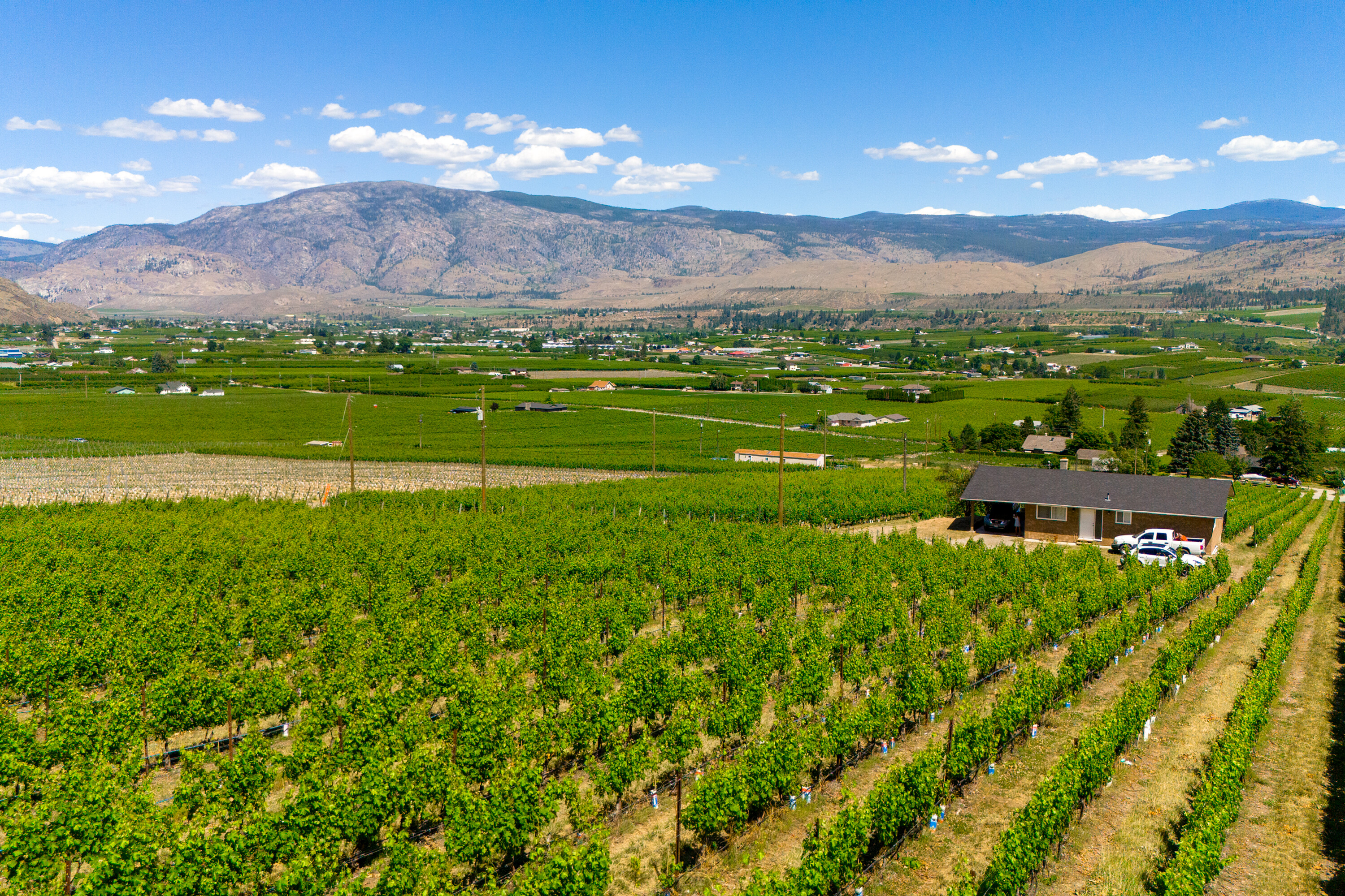  Lakefront Winery Receivership - 物件實景