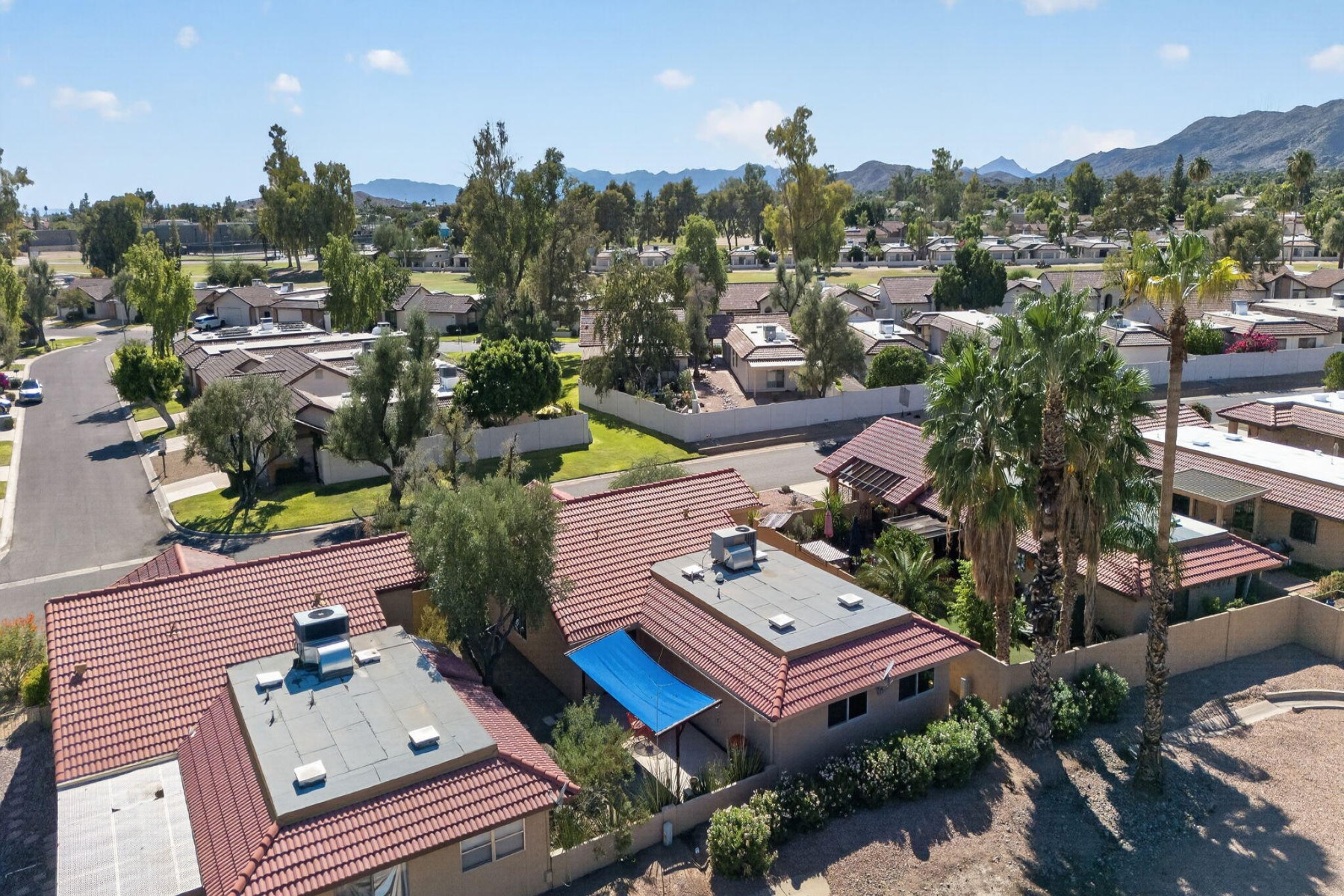  12037 S Half Moon Drive  Phoenix, AZ - 物件實景