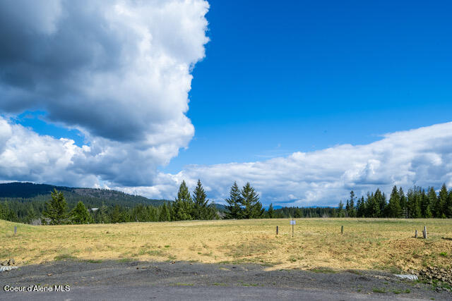 Coeur d'Alene, Idaho, 83814, United States, ,Residential,For Sale,1942579
