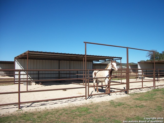 Tarpley, Texas, 78883, United States, 3 Bedrooms Bedrooms, ,2 BathroomsBathrooms,Residential,For Sale,1919539