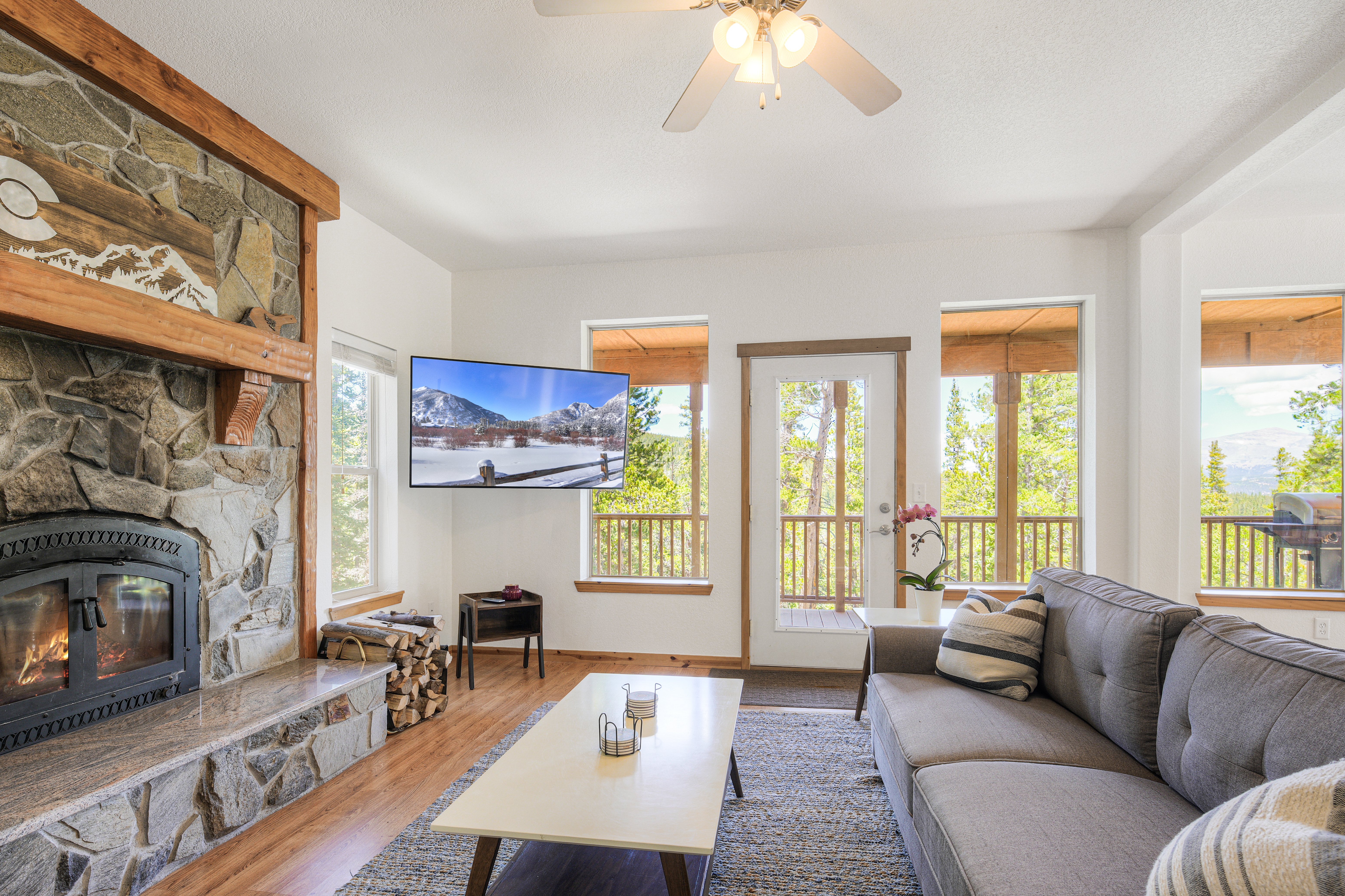  2123 Valley Of The Sun Drive, Fairplay, CO, 80440 - 物件實景