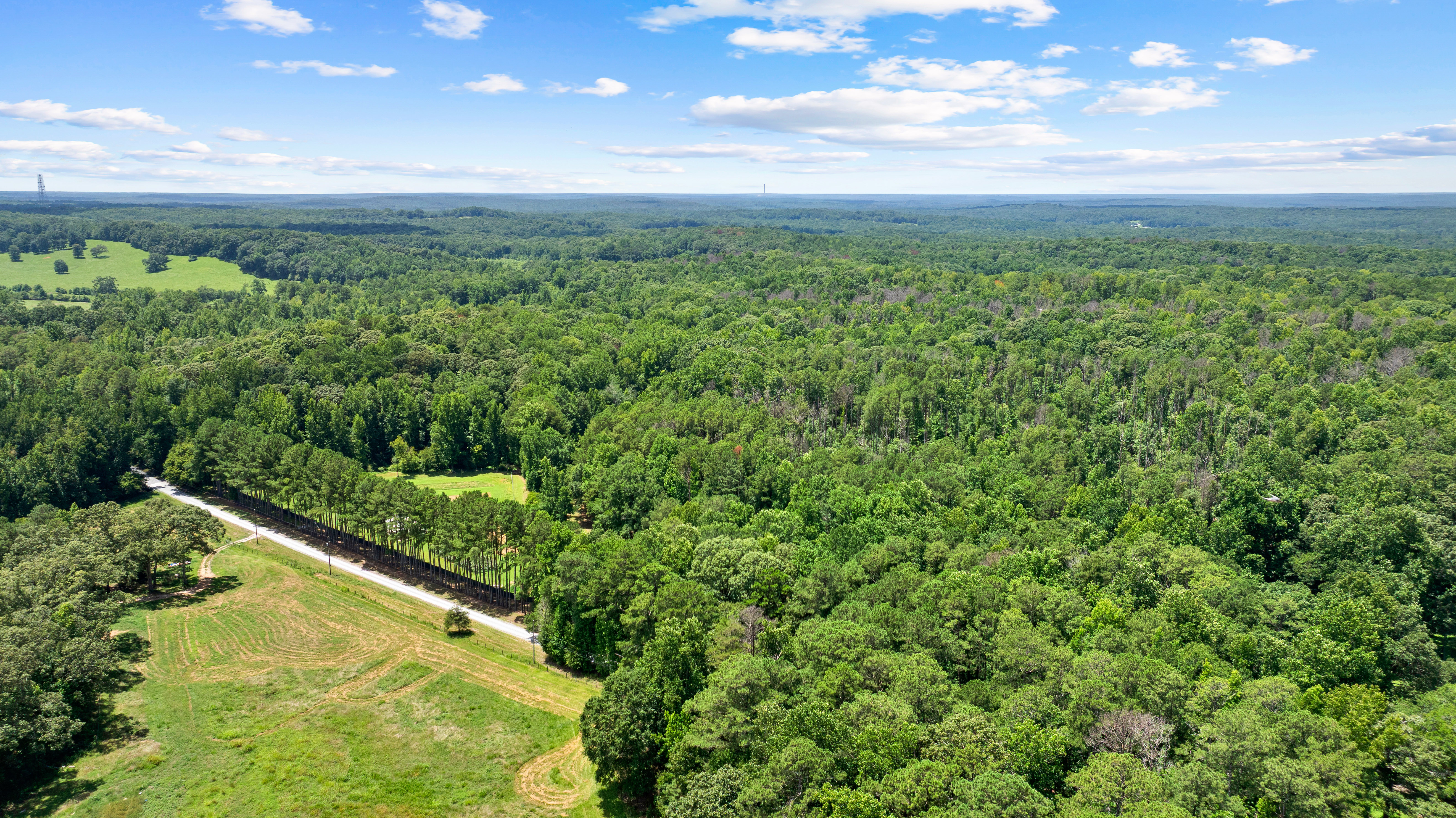  52 +/- Acres of Working Land and Quiet Woods - 物件實景