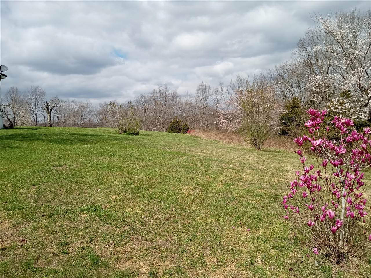 Willow Shade, Kentucky, 42166, United States, 3 Bedrooms Bedrooms, ,2 BathroomsBathrooms,Residential,For Sale,1991903