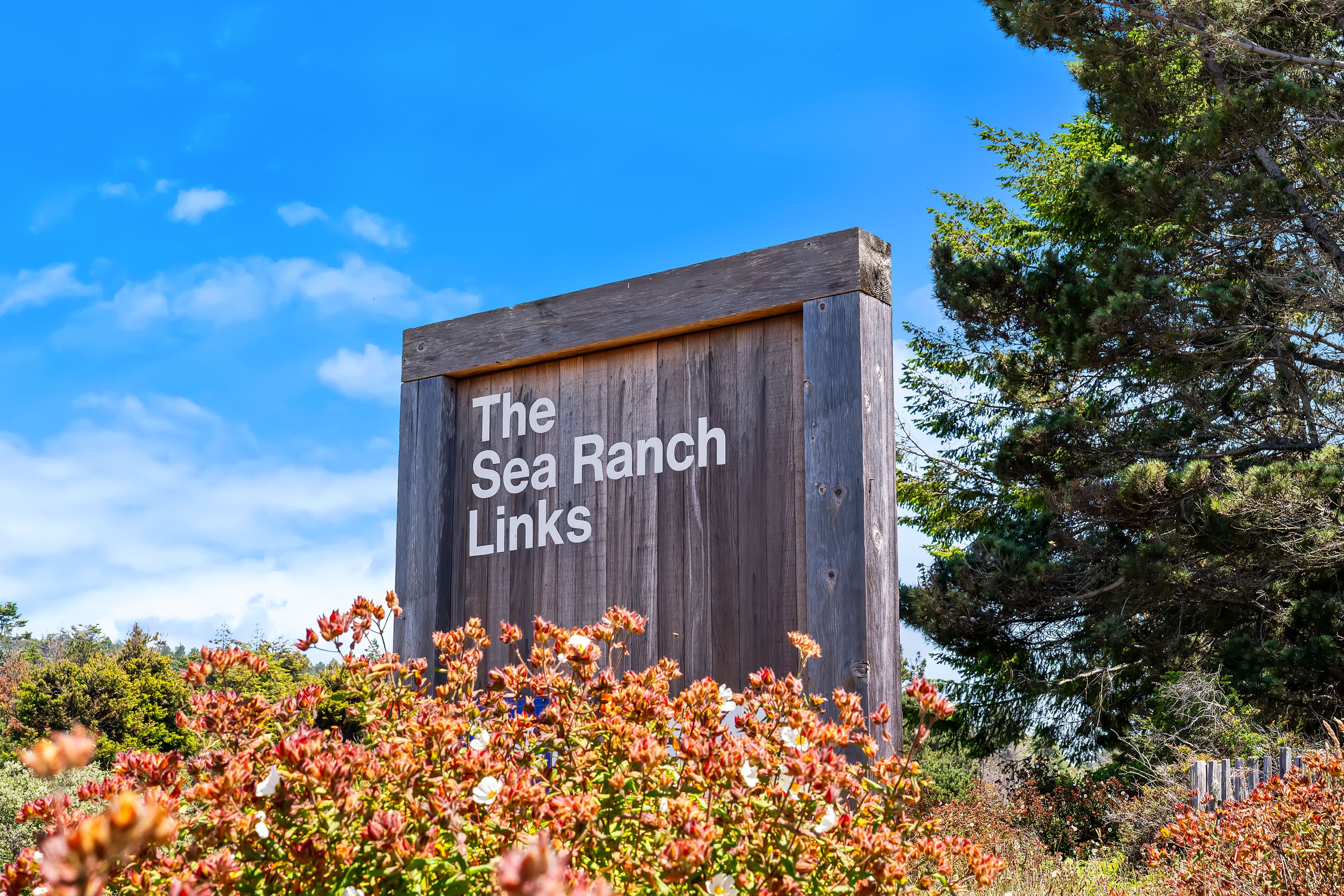  35926 Seaward Ranch, The Sea Ranch, CA 95497 - 物件實景