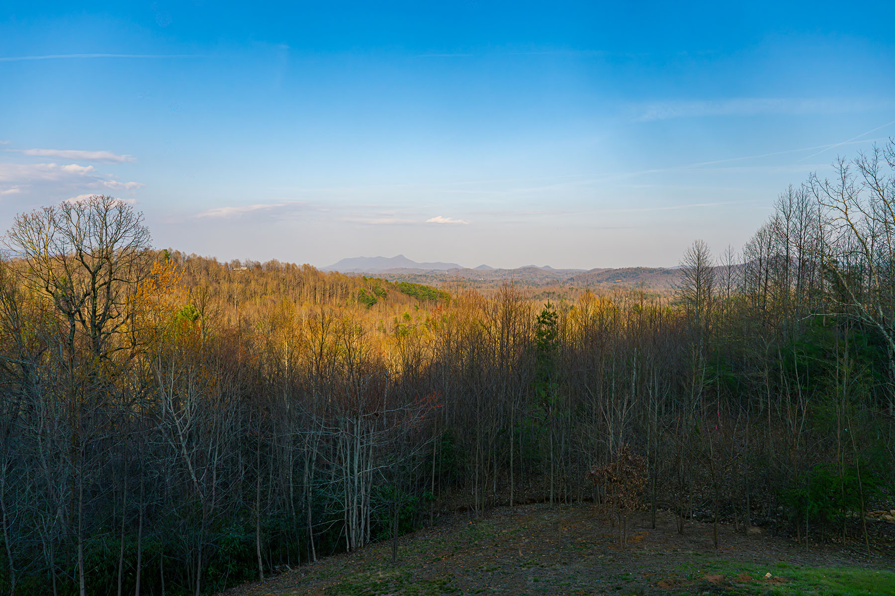  ZIRCONIA - 物件實景