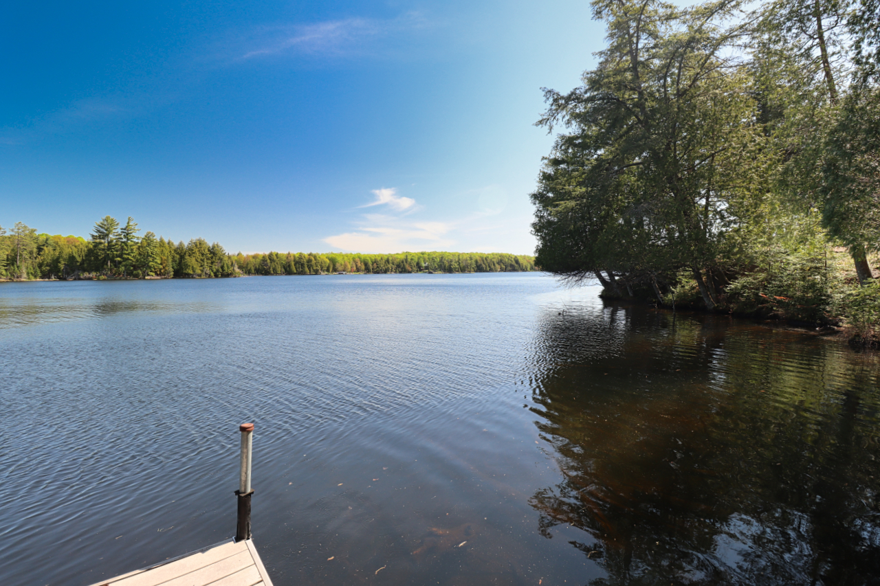 Watersmeet, Michigan, 49969, United States, 1 Bedroom Bedrooms, ,1 BathroomBathrooms,Residential,For Sale,2049424