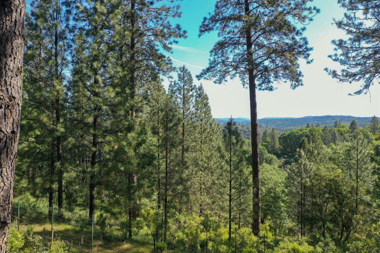 Grass Valley, California, 95949, United States, 3 Bedrooms Bedrooms, ,3 BathroomsBathrooms,Residential,For Sale,1842602