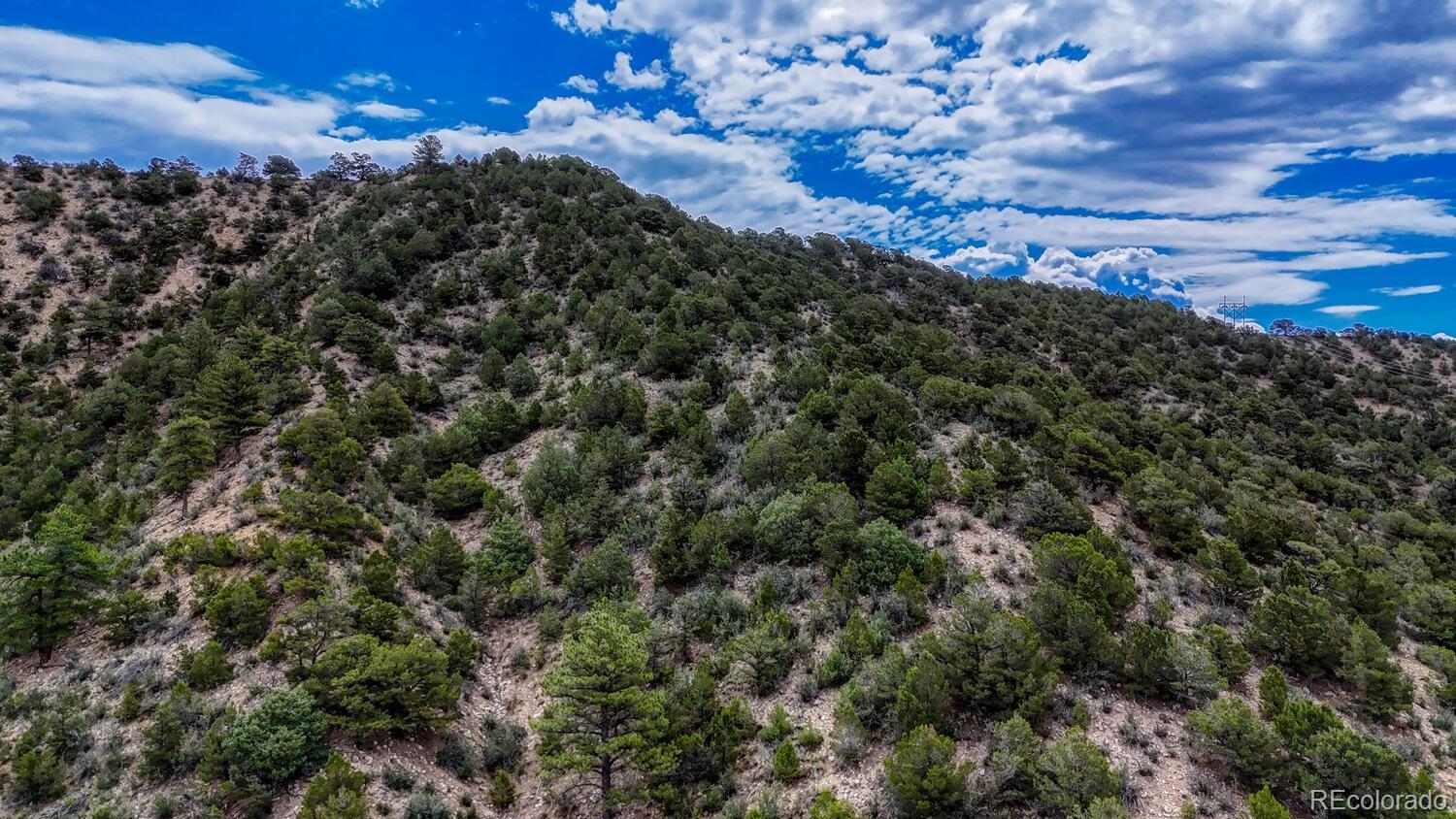 Salida, Colorado, 81201, United States, 4 Bedrooms Bedrooms, ,3 BathroomsBathrooms,Residential,For Sale,1981724