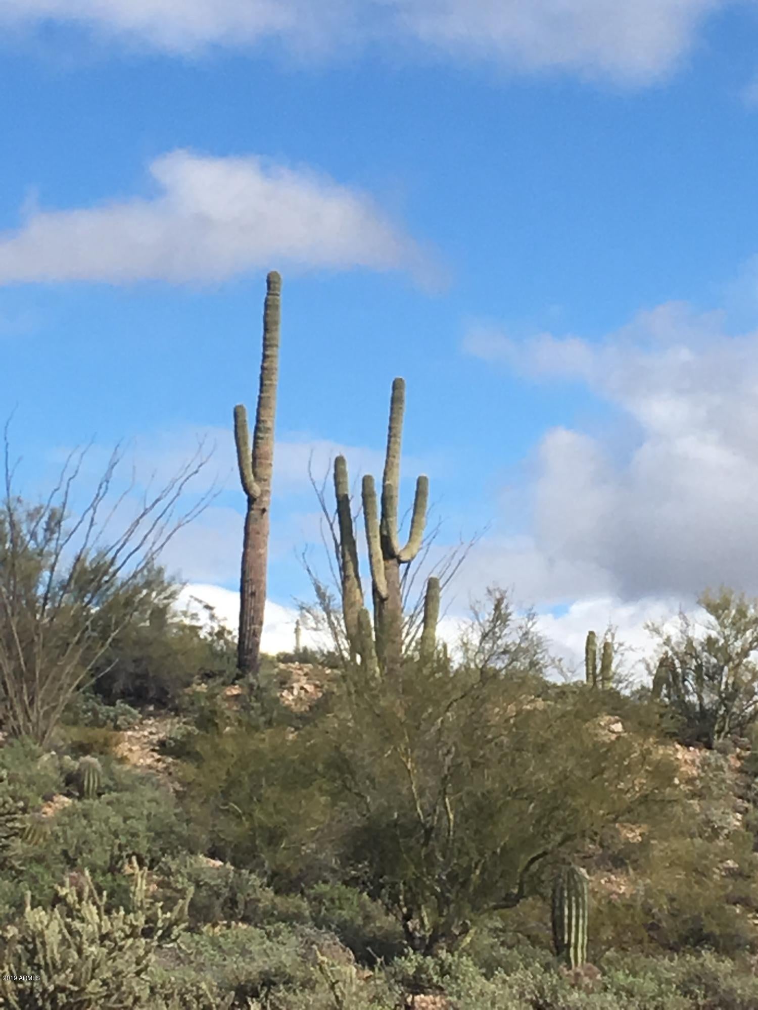 Wickenburg, Arizona, 85390, United States, ,Residential,For Sale,1710886
