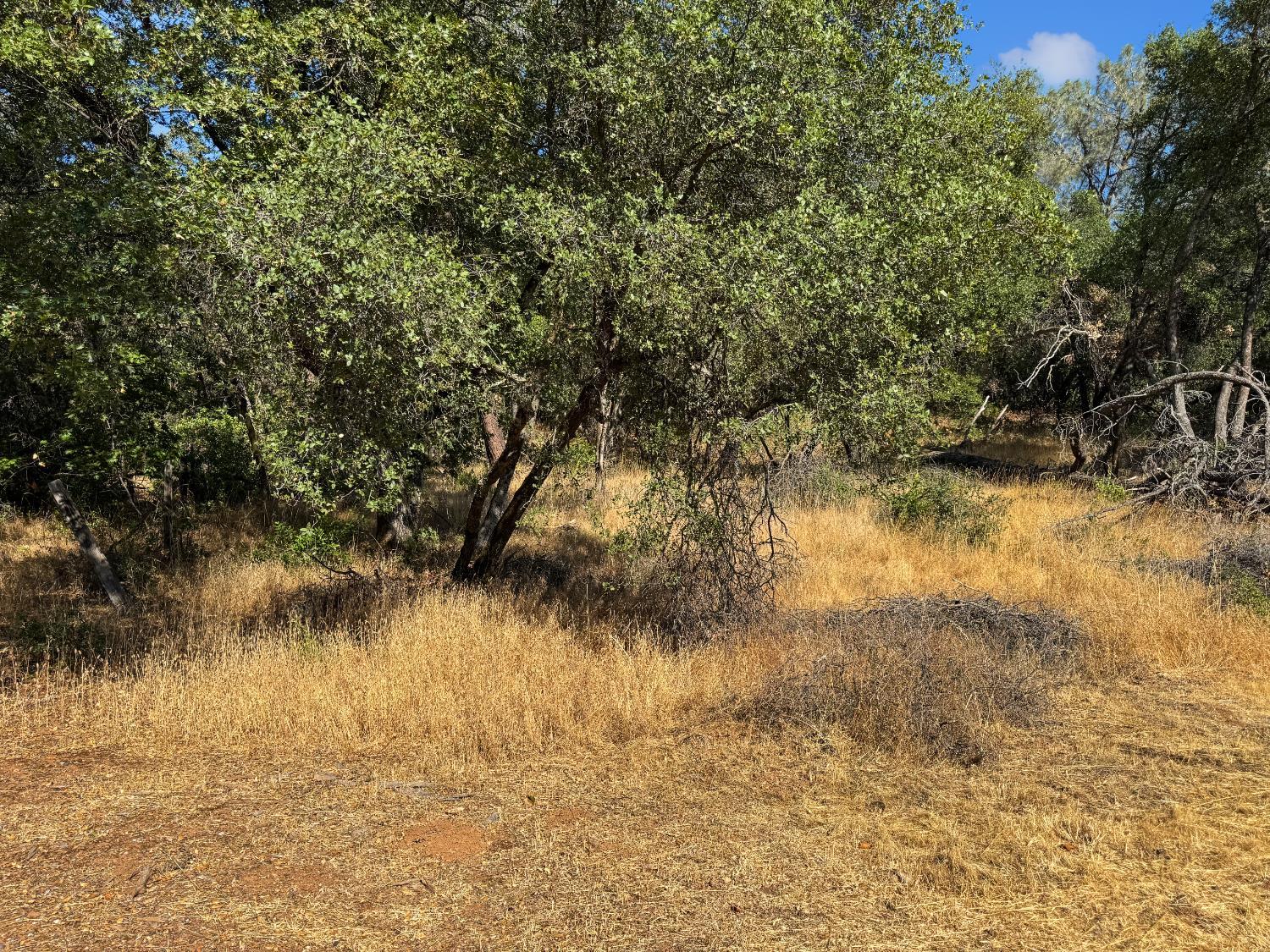 Auburn, California, 95603, United States, ,Residential,For Sale,1935188