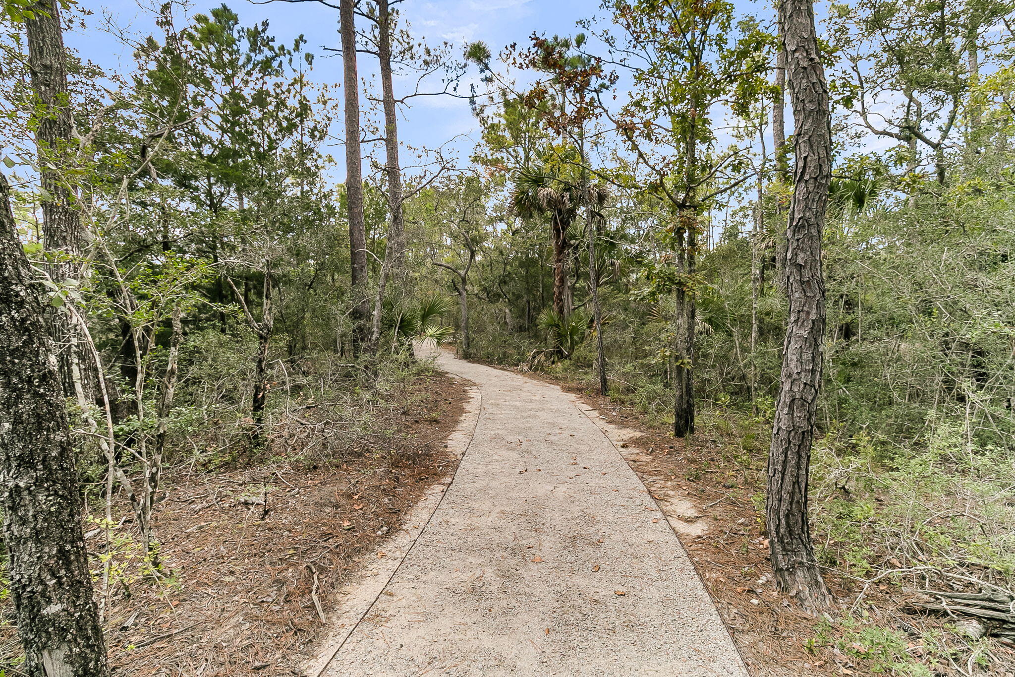 Charleston, South Carolina, 29492, United States, 4 Bedrooms Bedrooms, ,4 BathroomsBathrooms,Residential,For Sale,1979260