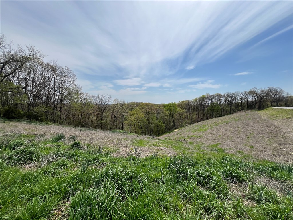 Garfield, Arkansas, 72732, United States, ,Land,For Sale,1804669