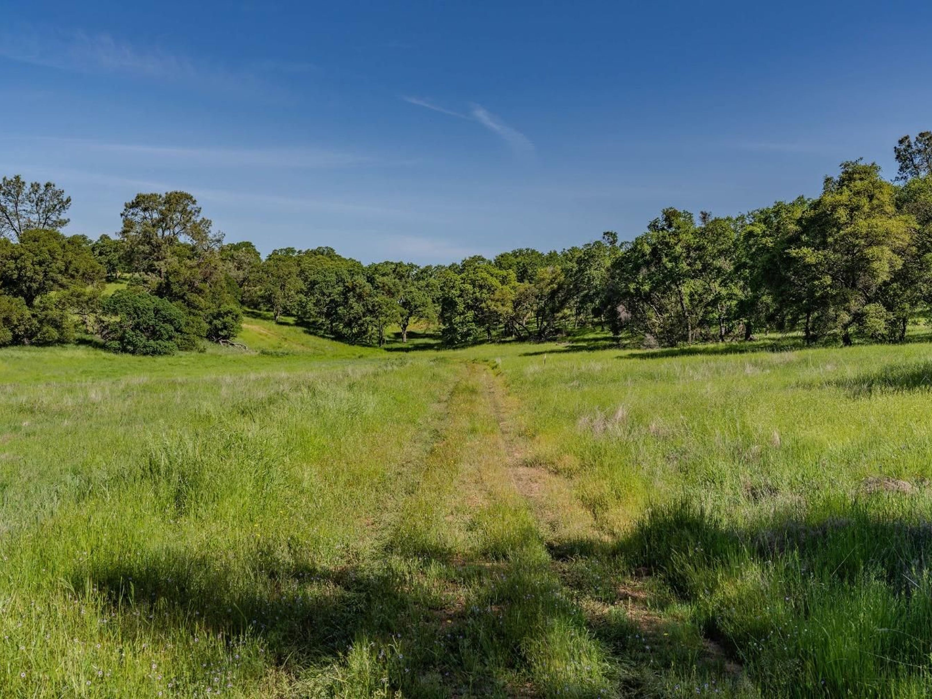  10865 Sunset Drive, Sutter Creek, CA 95685 - 物件實景