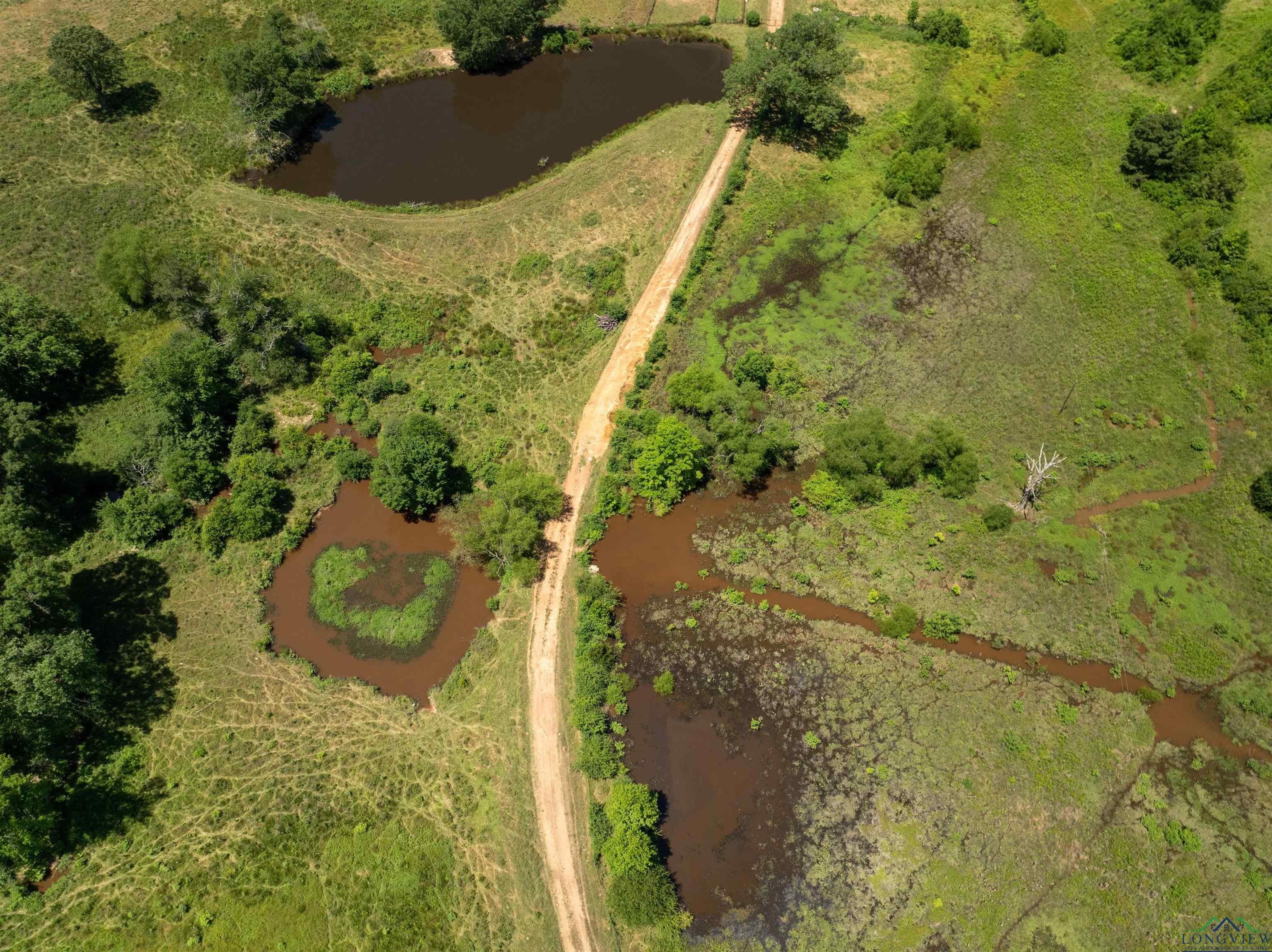 7557 FM 248, Lodi, Texas, 75564, United States, ,Residential,For Sale,7557 FM 248,1614560