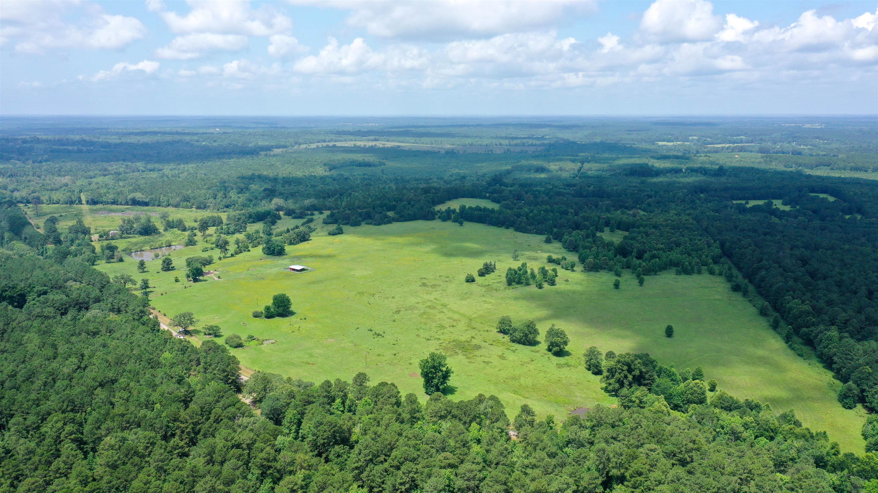 Linden, Texas, 75563, United States, ,Land,For Sale,1975448