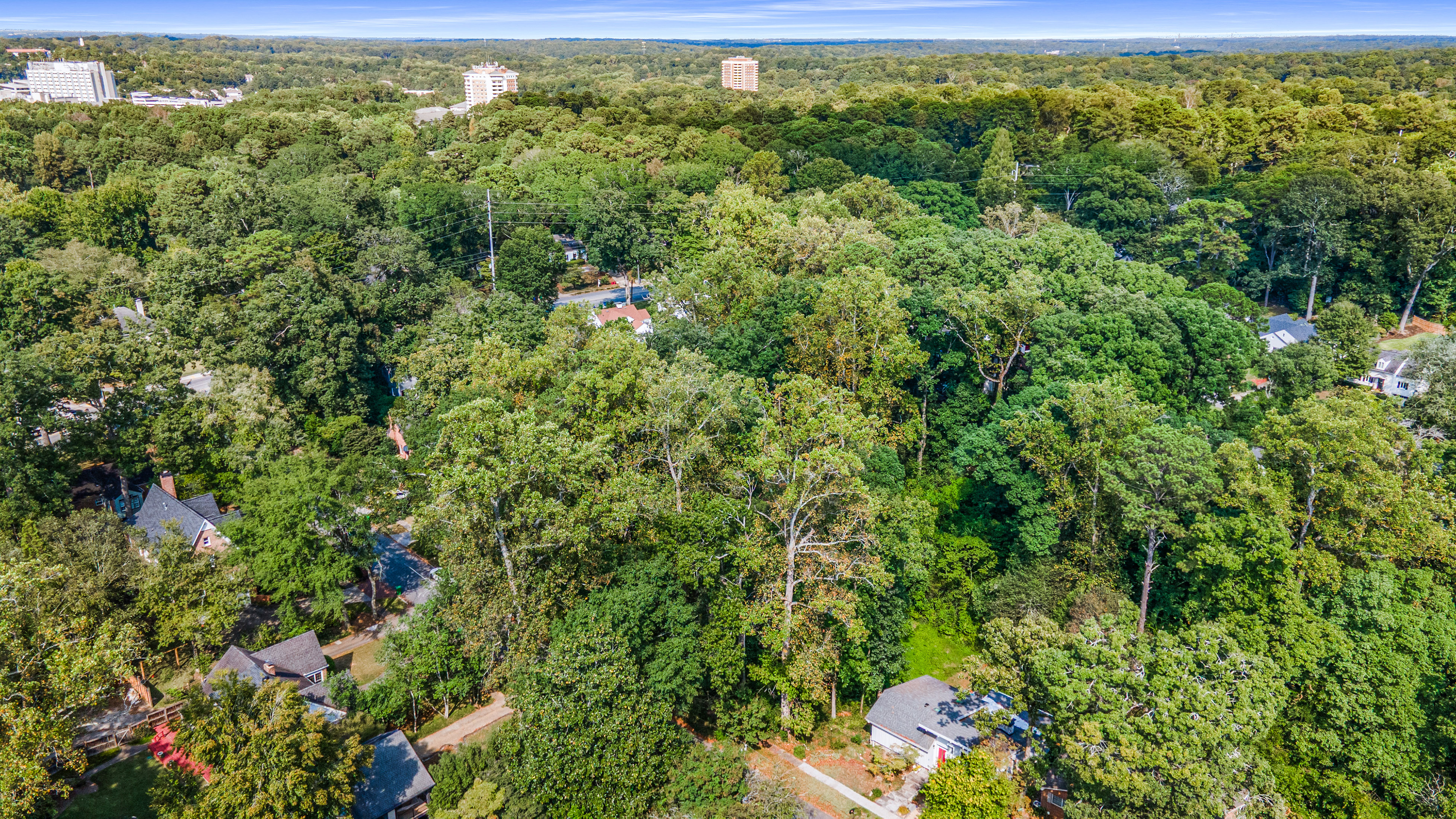  Three Contiguous Lots for New Construction in Historic Druid Hills - 物件實景