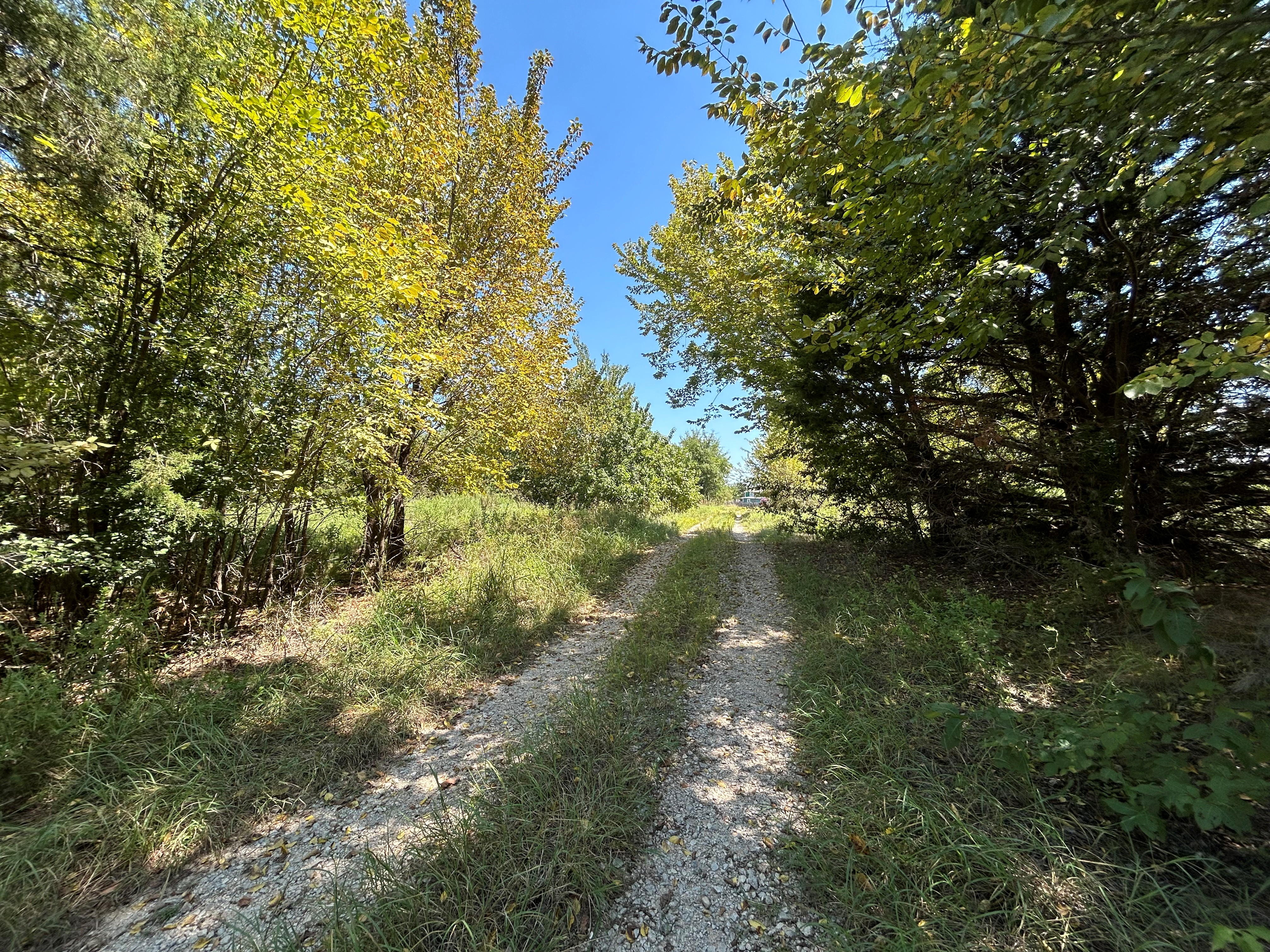 Boyd, Texas, 76023, United States, ,Land,For Sale,1974224