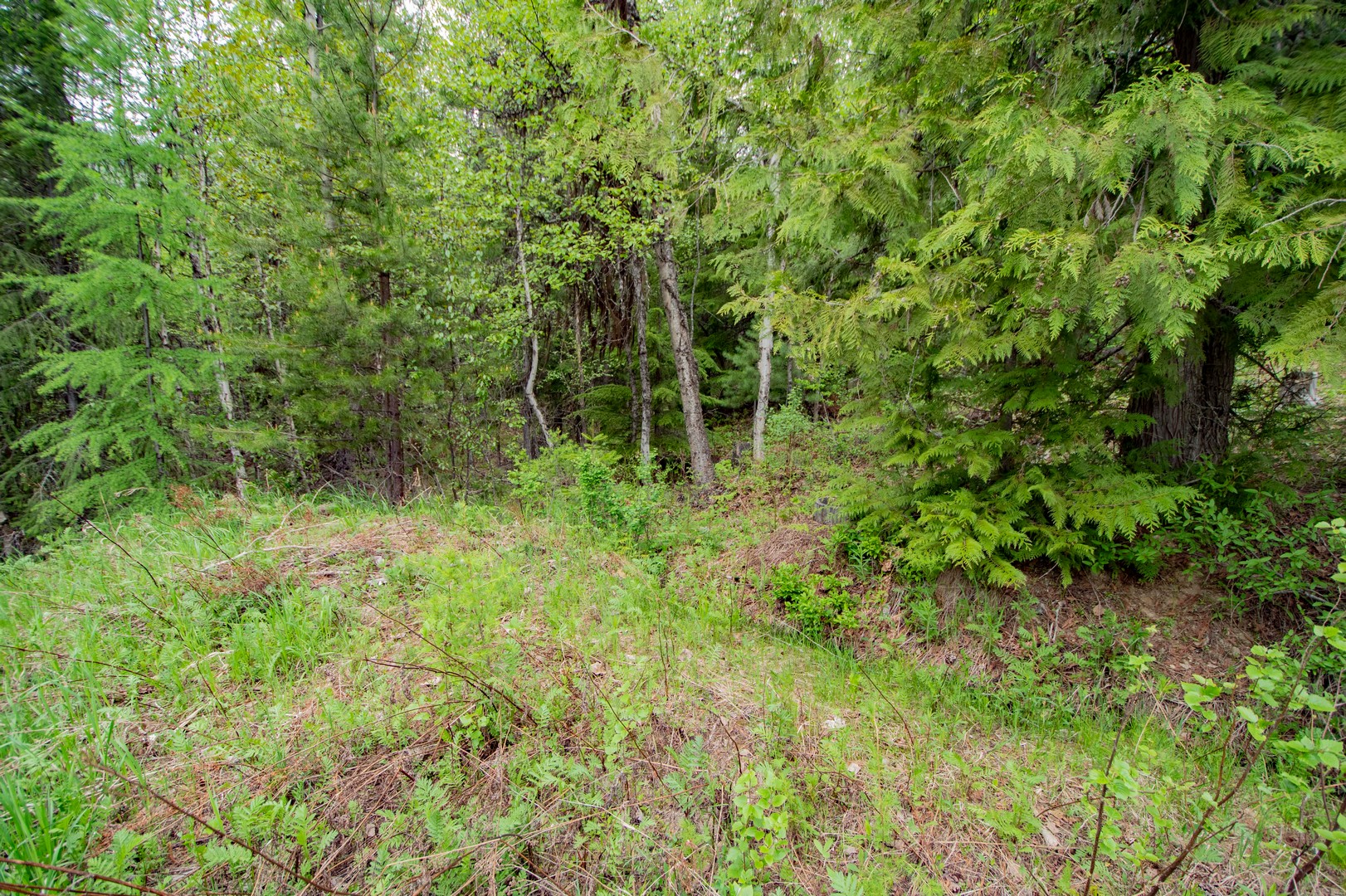 Naples, Idaho, 83847, United States, 2 Bedrooms Bedrooms, ,1 BathroomBathrooms,Residential,For Sale,1979957