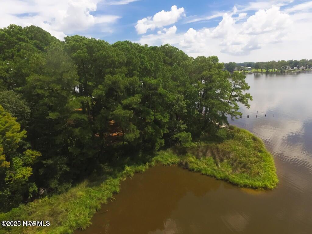 Bath, North Carolina, 27808, United States, ,Land,For Sale,1895409