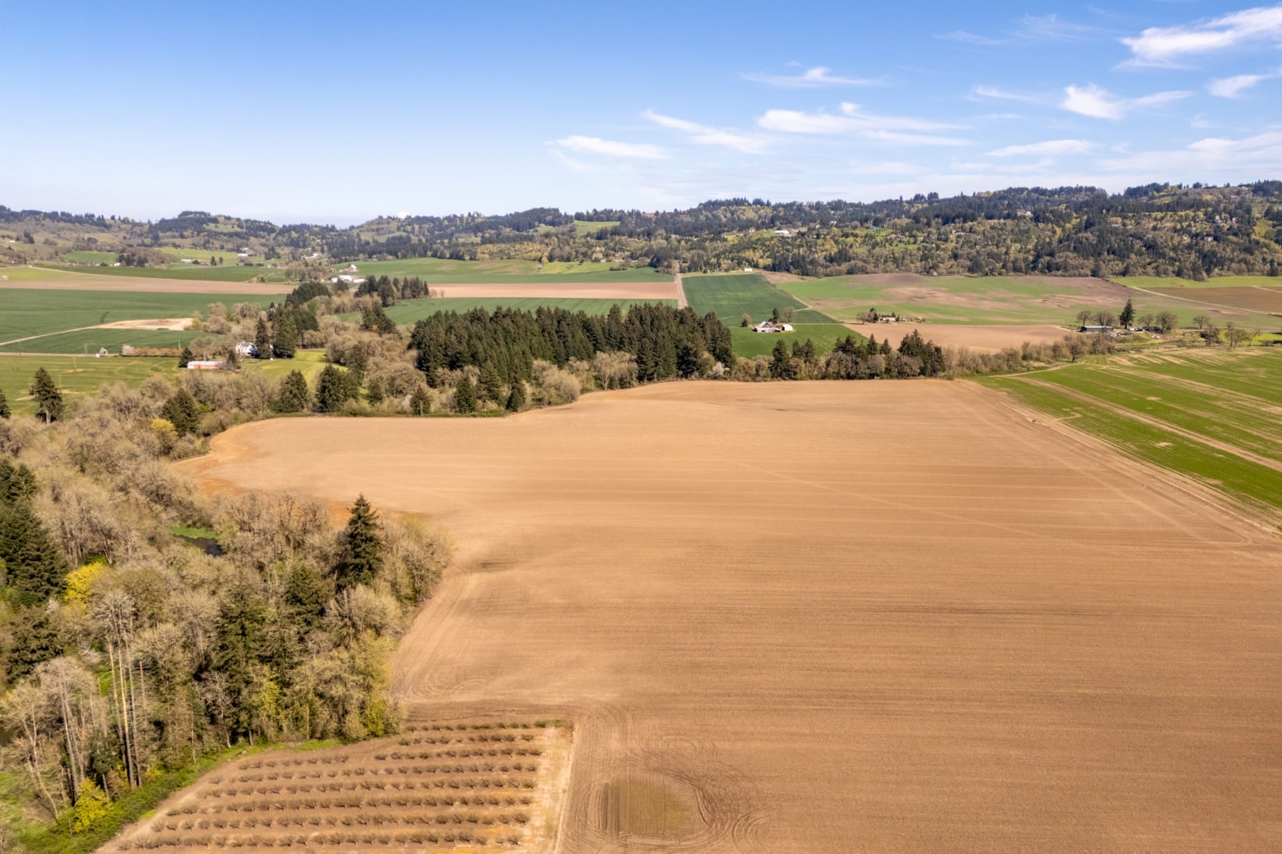  21200 SE OLD BETHEL RD Amity, OR 97101 - 物件實景