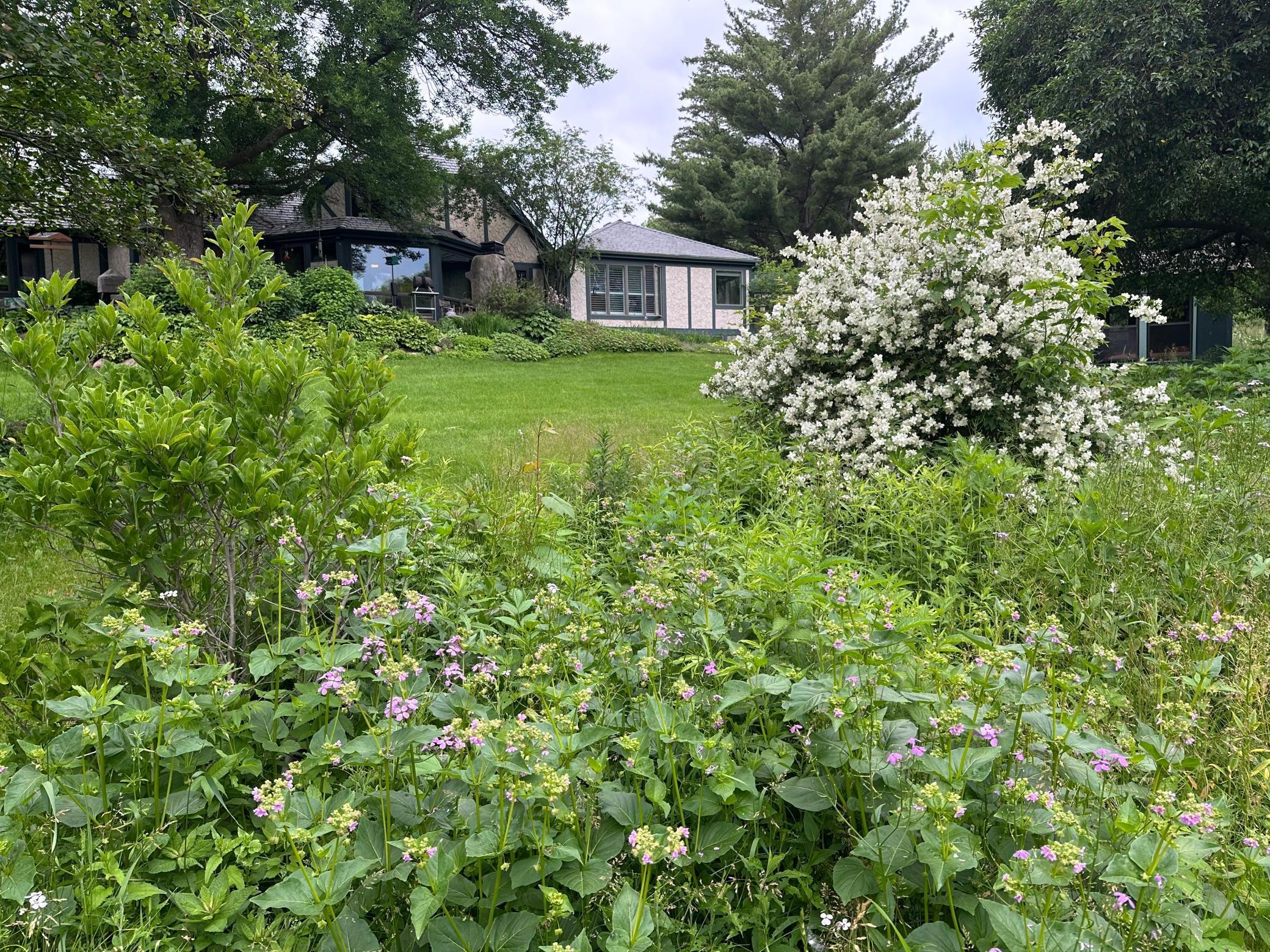 Rochester Twp, Minnesota, 55902, United States, 5 Bedrooms Bedrooms, ,2 BathroomsBathrooms,Residential,For Sale,1838930