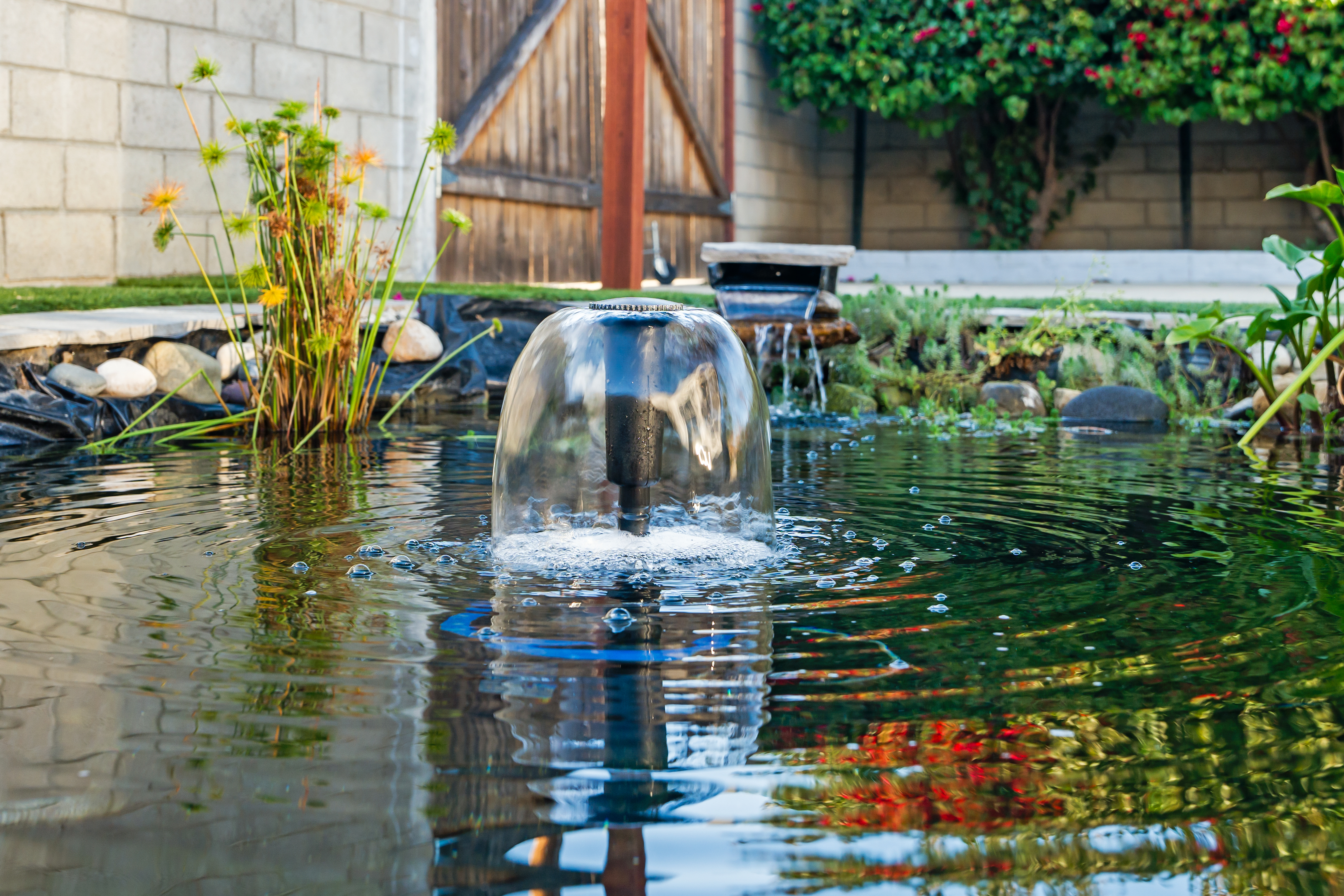  1400 Cameron Street, Ventura, CA 93001 - 物件實景