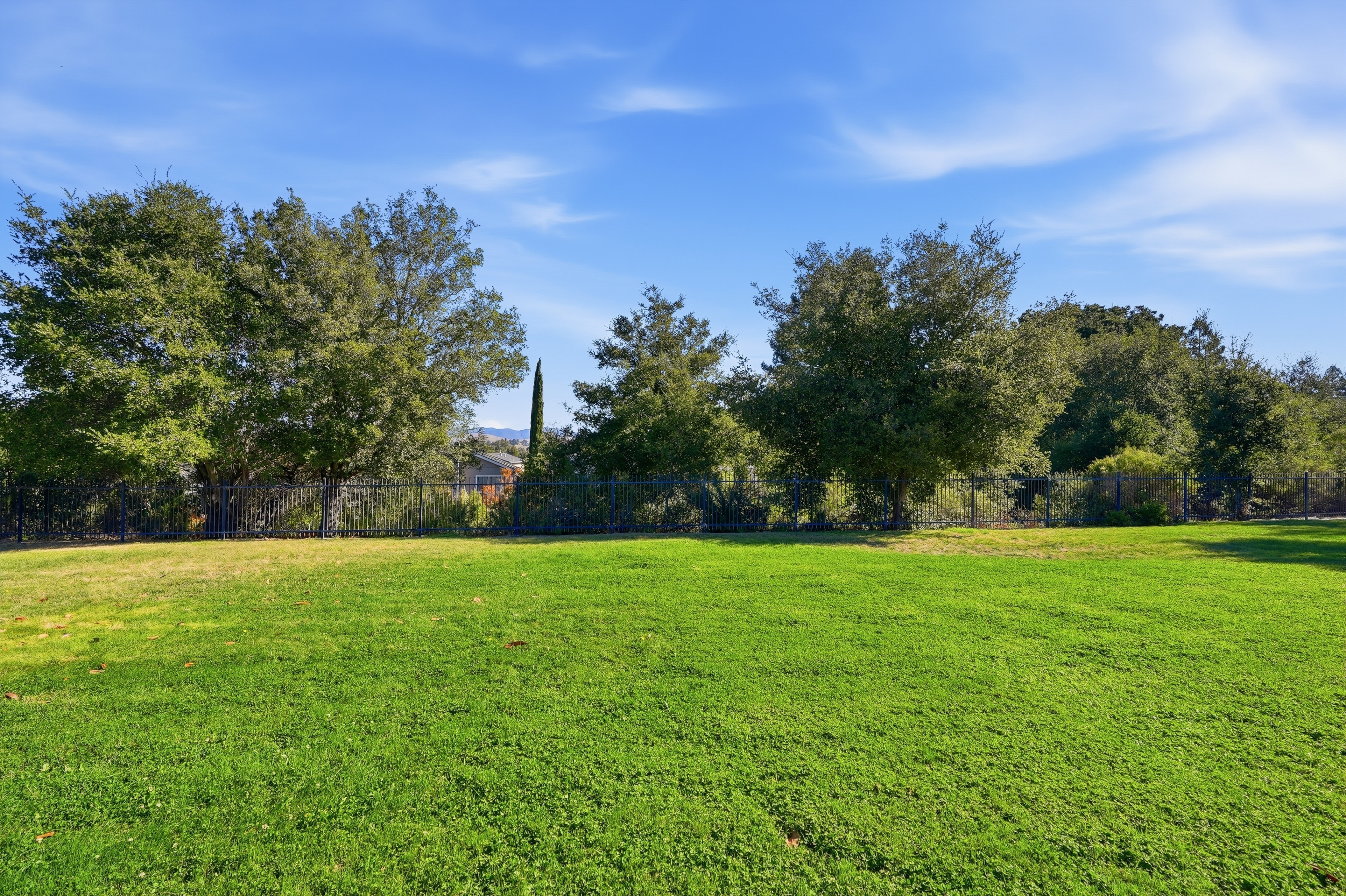  Discover Easy Living in San Ramon’s Coveted Twin Creeks Community - 物件實景