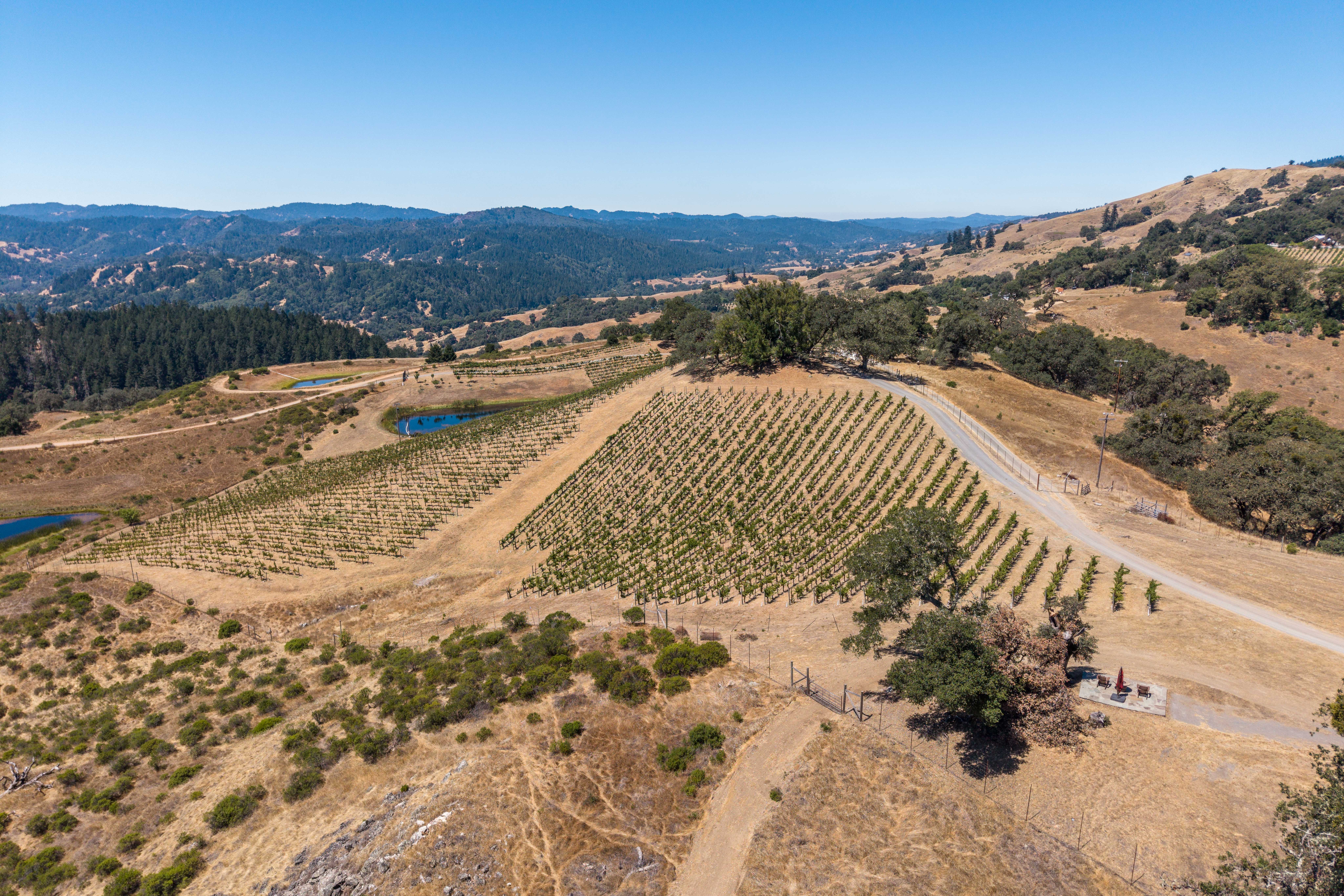  18115 Highlands Ridge Road, Yorkville, CA 95494 - 物件實景